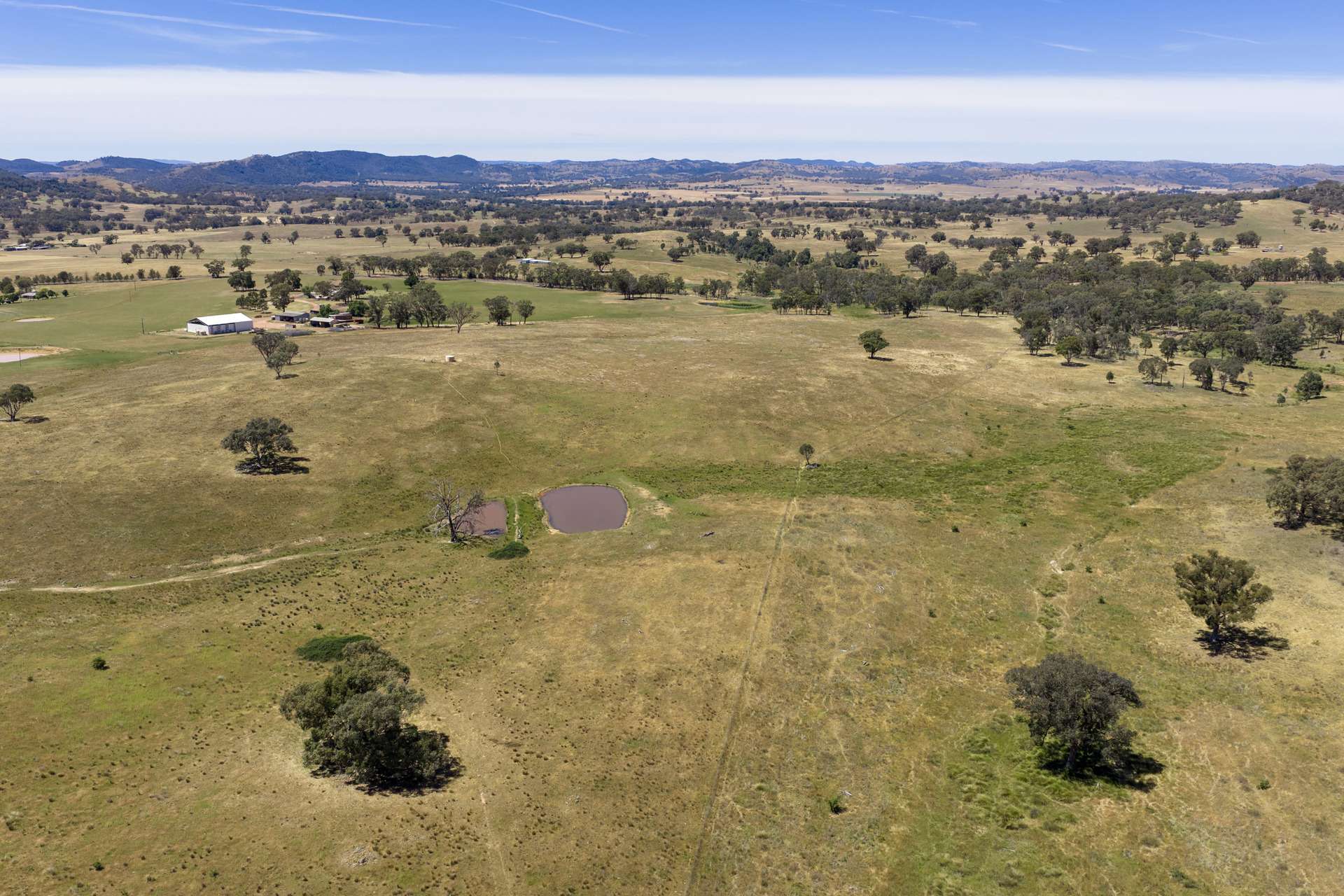 499 Mebul Road, Gulgong For Sale by Farmbuy.com - image 25