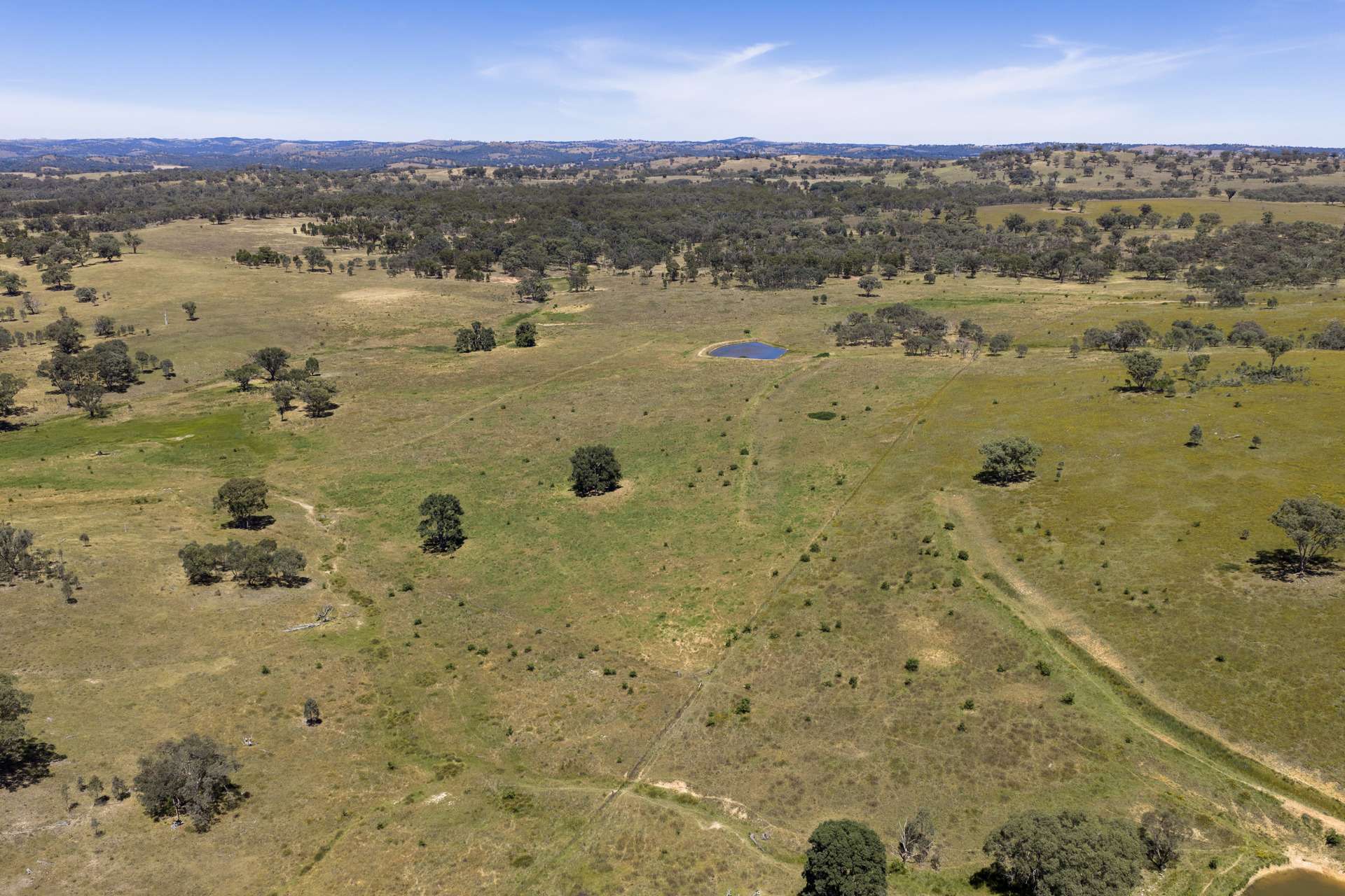 499 Mebul Road, Gulgong For Sale by Farmbuy.com - image 21