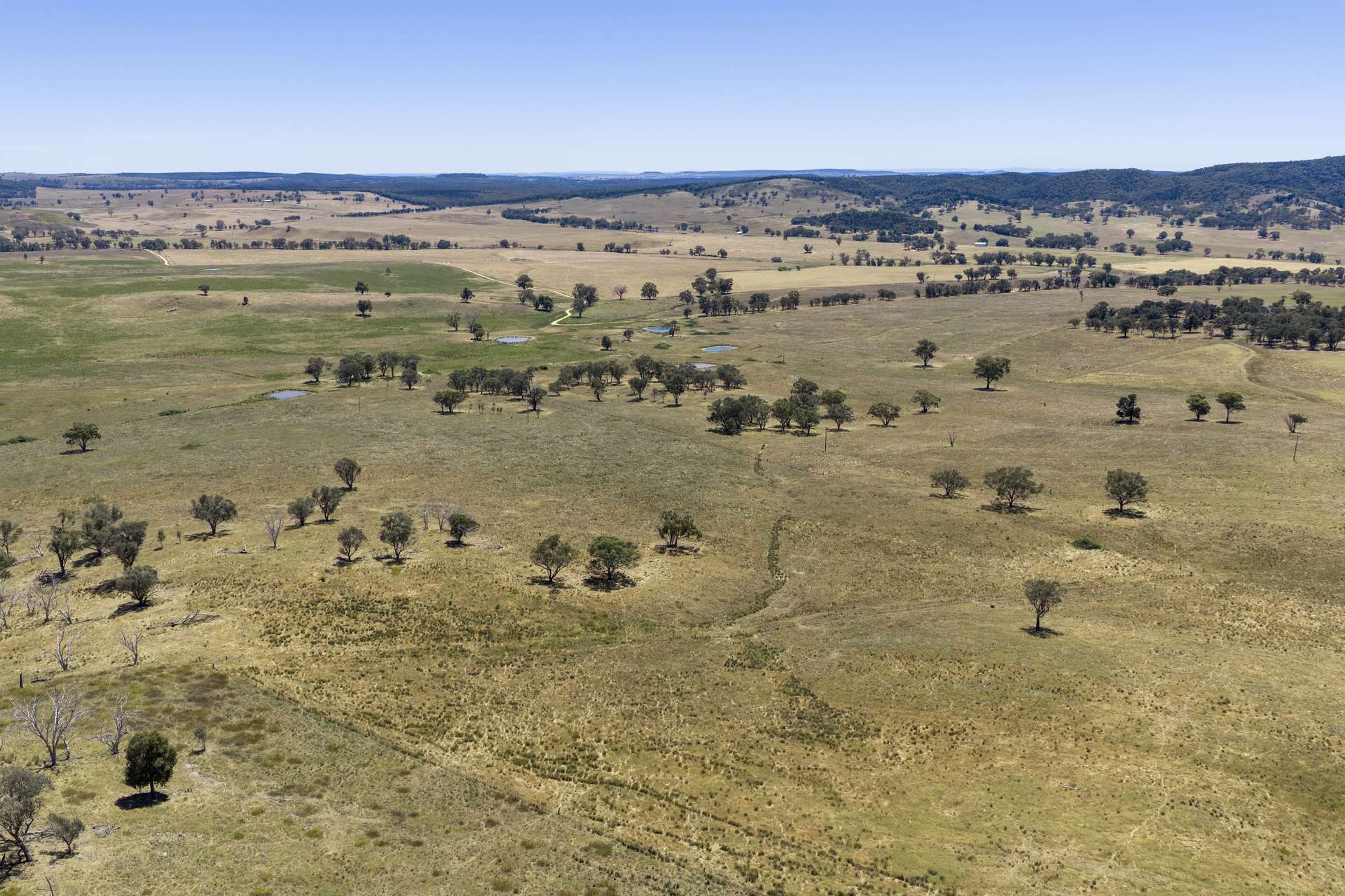 499 Mebul Road, Gulgong For Sale by Farmbuy.com - image 23