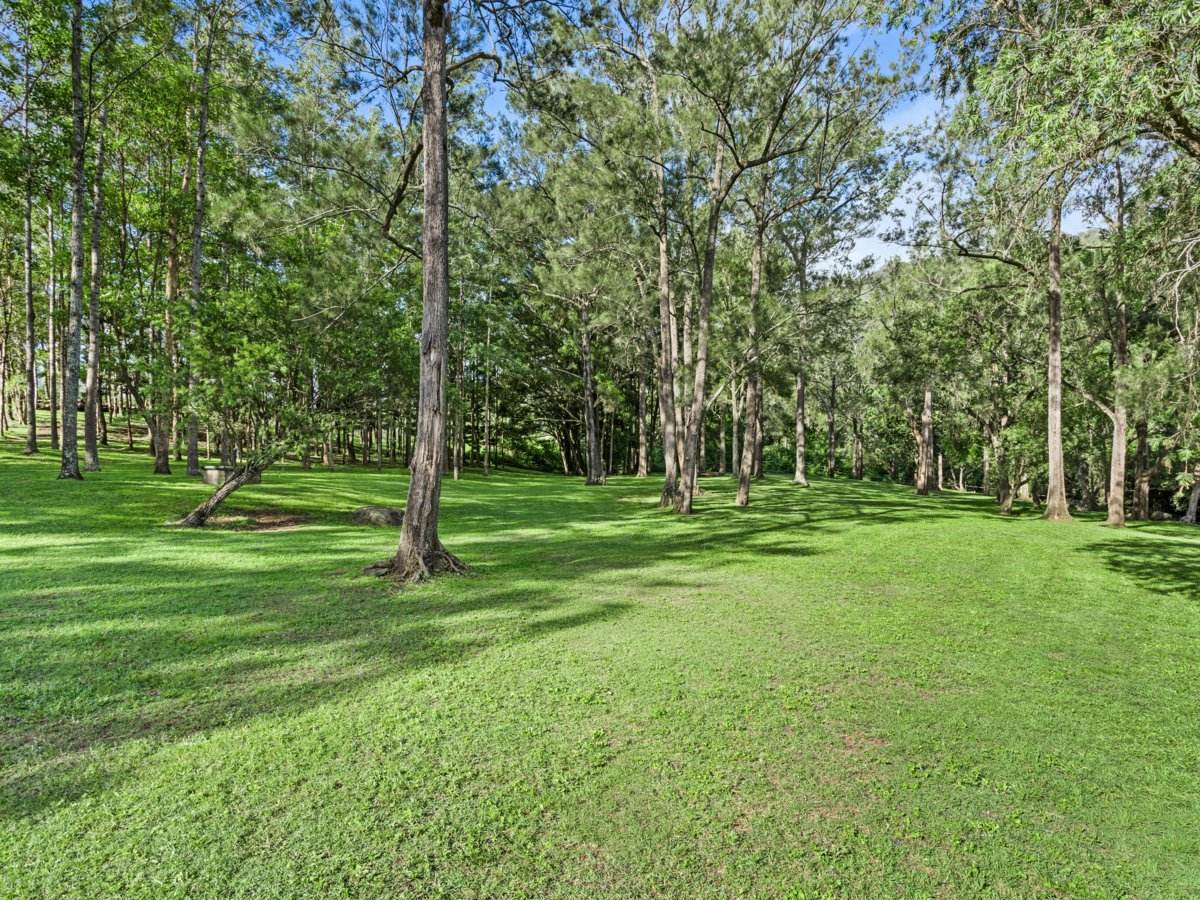 969 Lamington National Park Road, Canungra Sold by Farmbuy.com - image 7