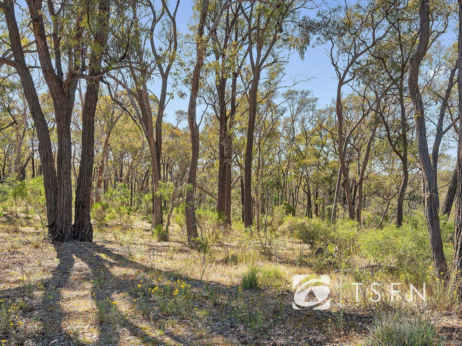 309 Edwards Road, Strathfieldsaye For Sale by Farmbuy.com - image 6