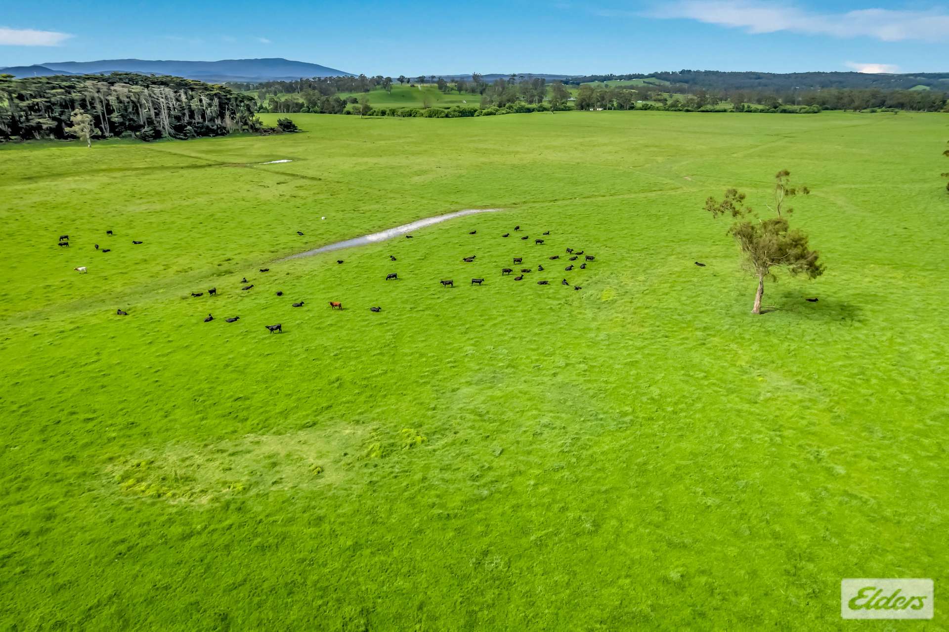 120 Moe-Walhalla Road, Moe For Sale by Farmbuy.com - image 7