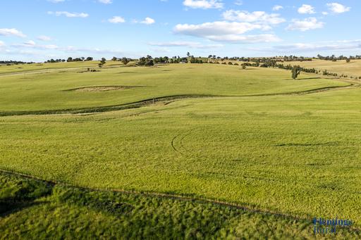 170 Kanoona Road, Harden NSW 2587