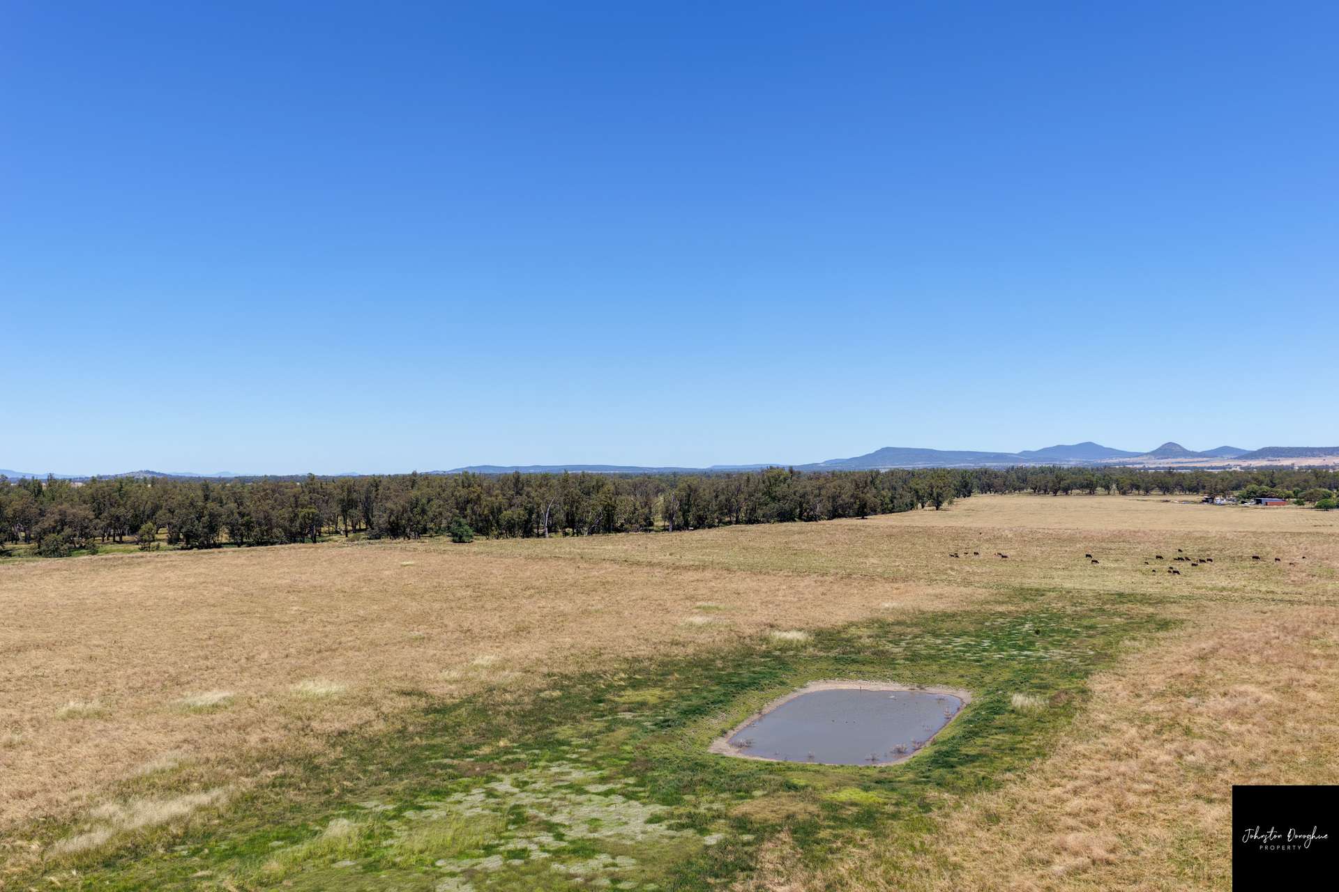 11664 Kamilaroi Highway, Gunnedah Sold by Farmbuy.com - image 27