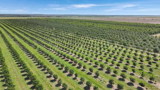 Alloway QLD 4670