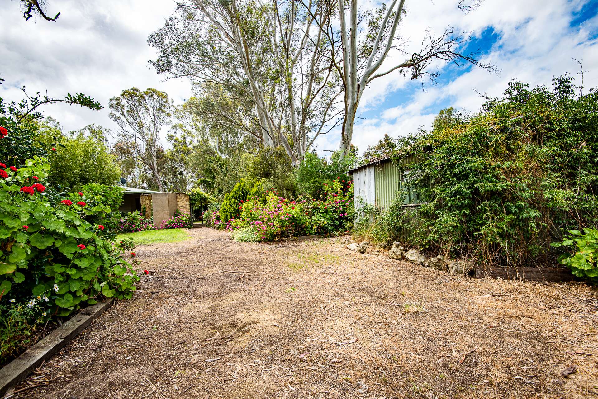 Lot 1 Smith Terrace, Hynam Sold by Farmbuy.com - image 13