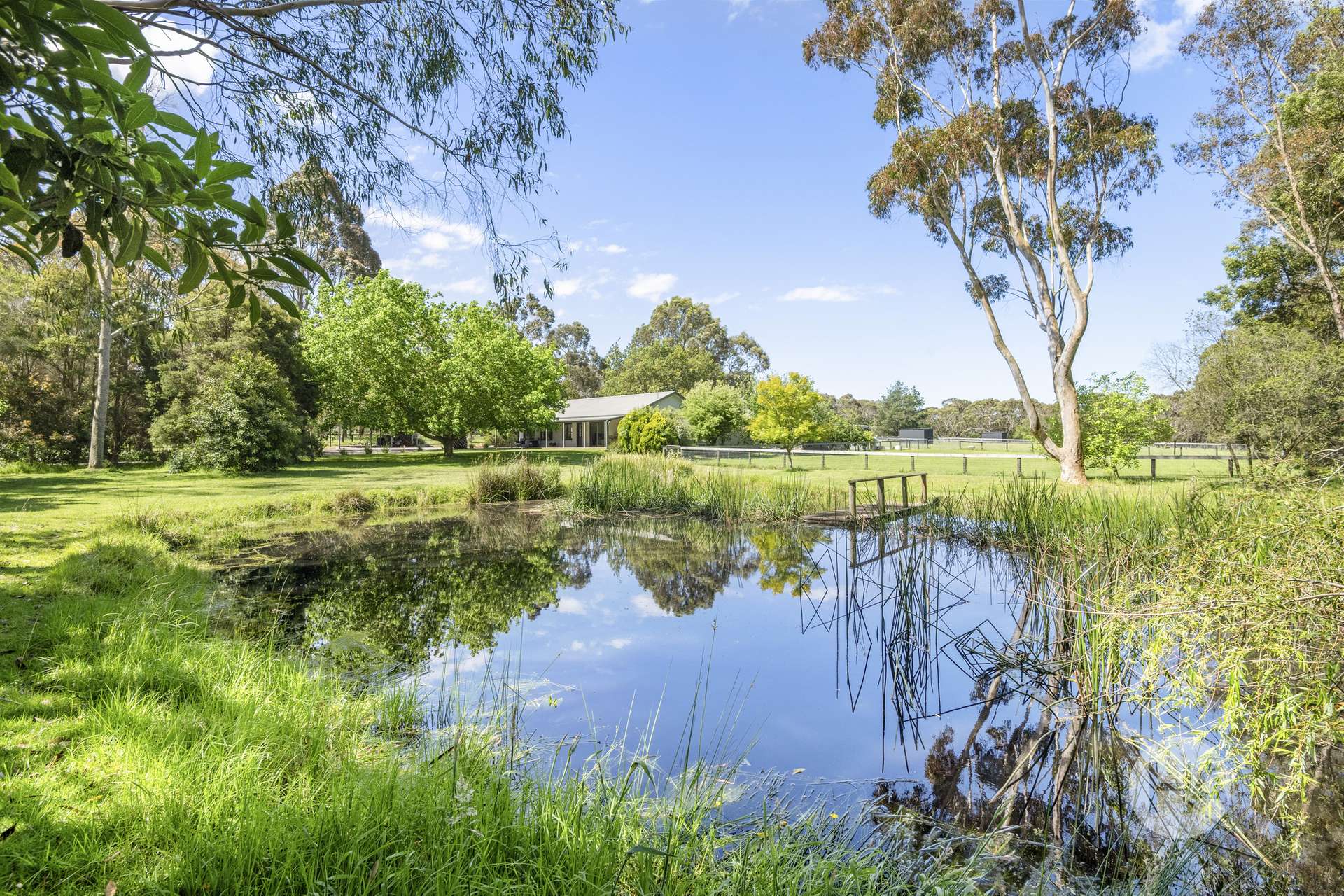 189 Hendersons Road, Hastings For Sale by Farmbuy.com - image 19
