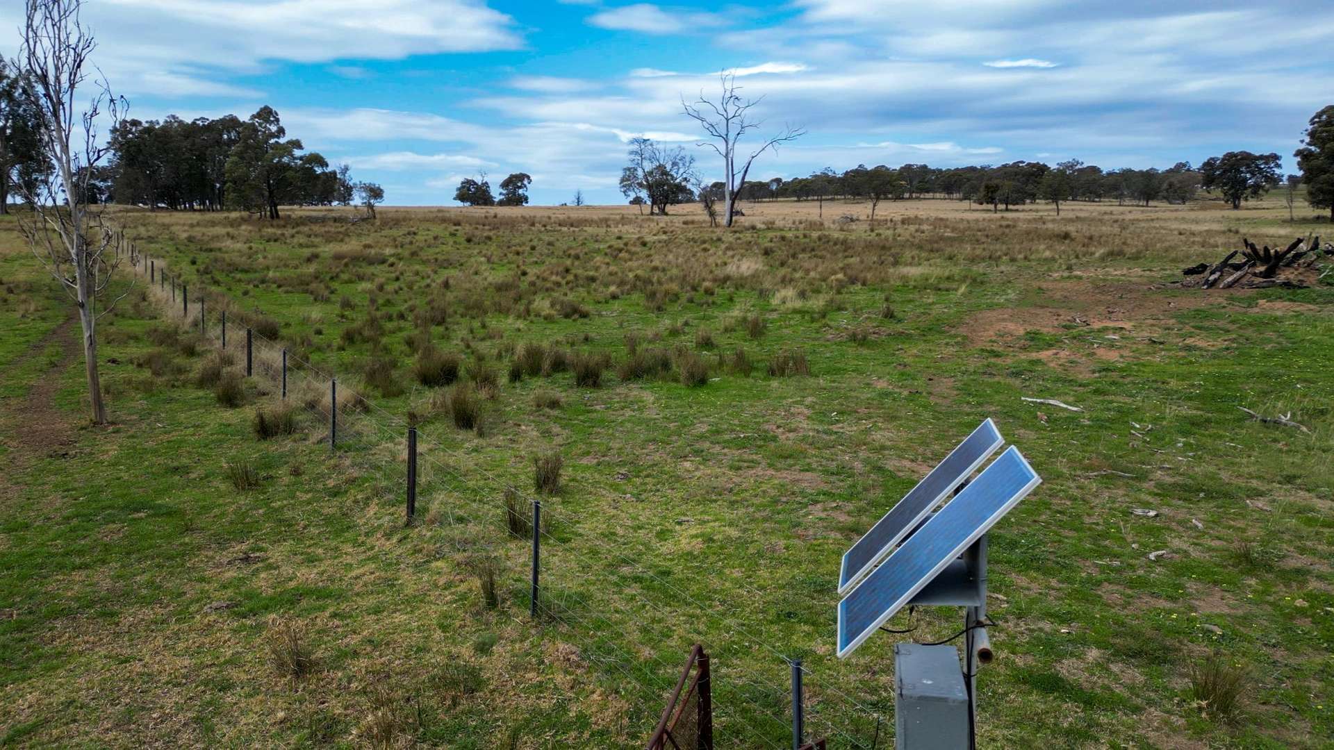 1559 Digilah Road, Dunedoo For Sale by Farmbuy.com - image 10