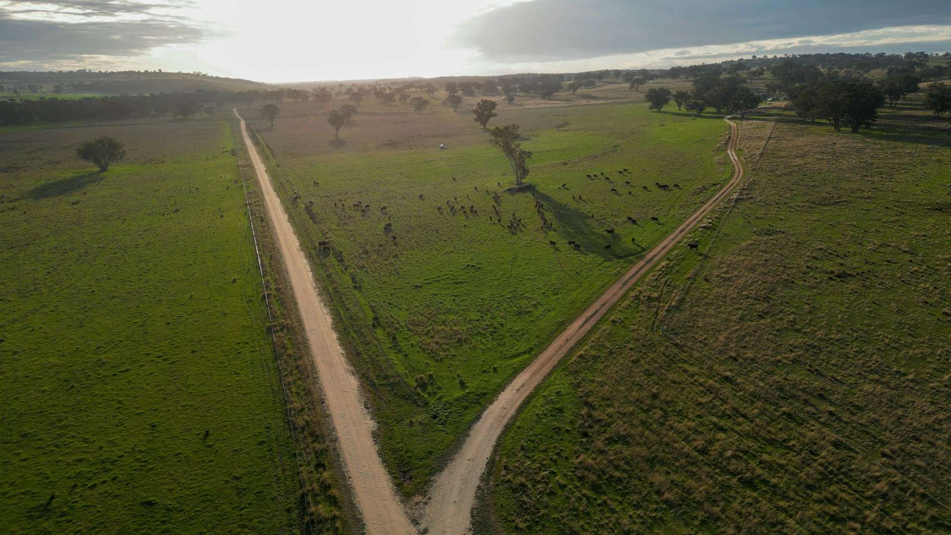 1559 Digilah Road, Dunedoo For Sale by Farmbuy.com - image 8