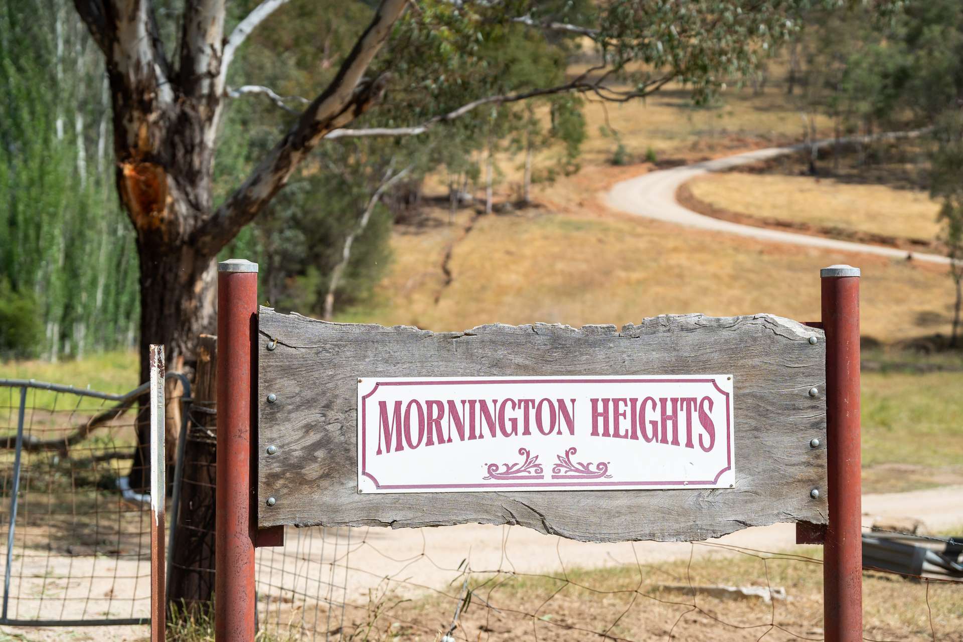 "Mornington Heights" 634 Splitters Creek Road, Splitters Creek Sold by Farmbuy.com - image 3