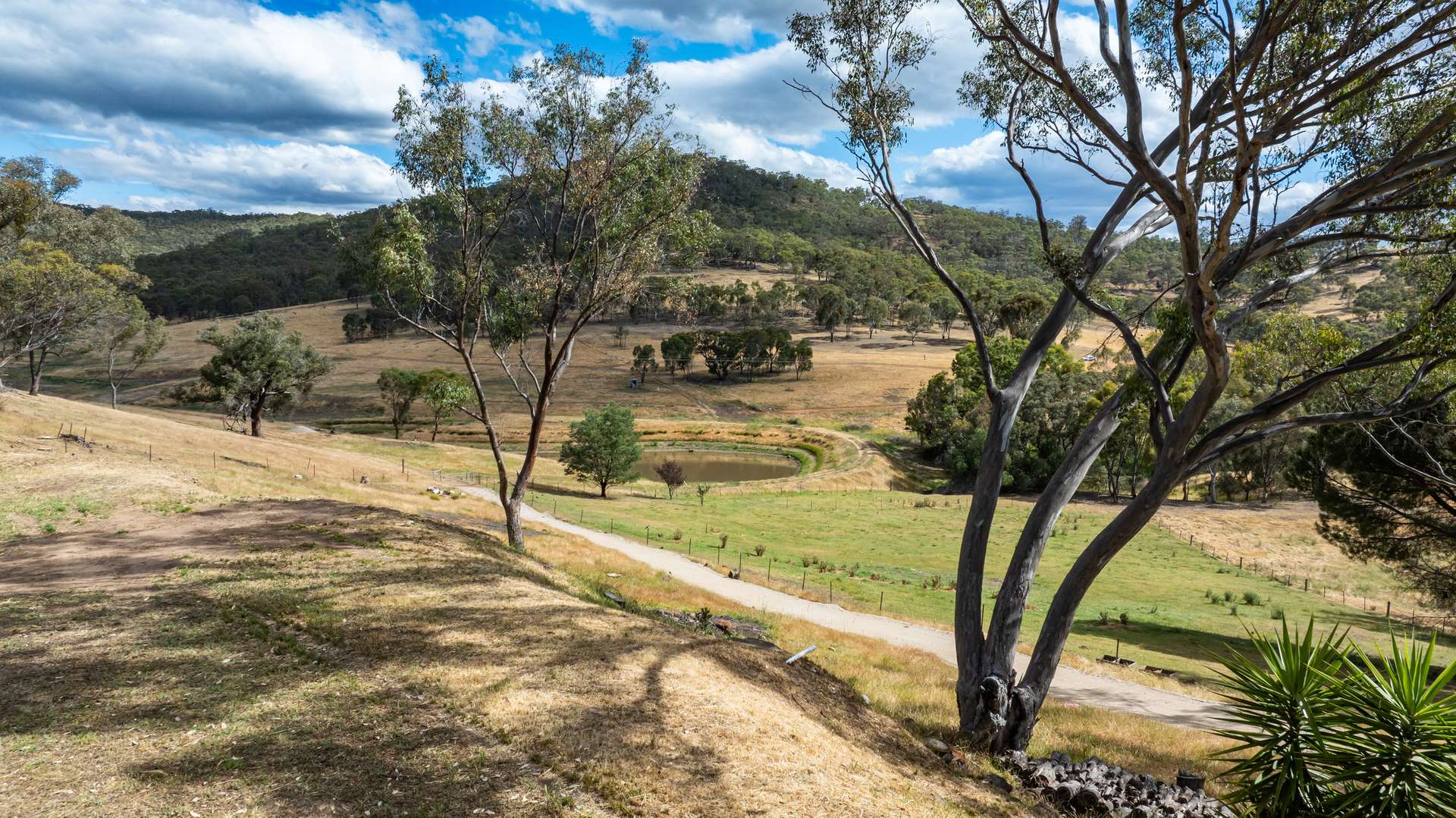 "Mornington Heights" 634 Splitters Creek Road, Splitters Creek Sold by Farmbuy.com - image 28