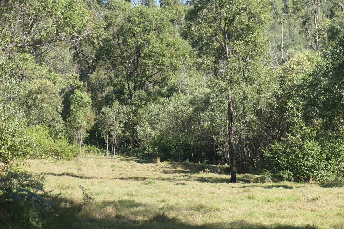 400 Phillips Swamp Road, Busbys Flat Sold by Farmbuy.com - image 12