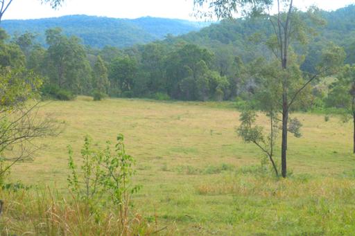 Farm Sold - NSW - Busbys Flat - 2469 - UNDER OFFER 