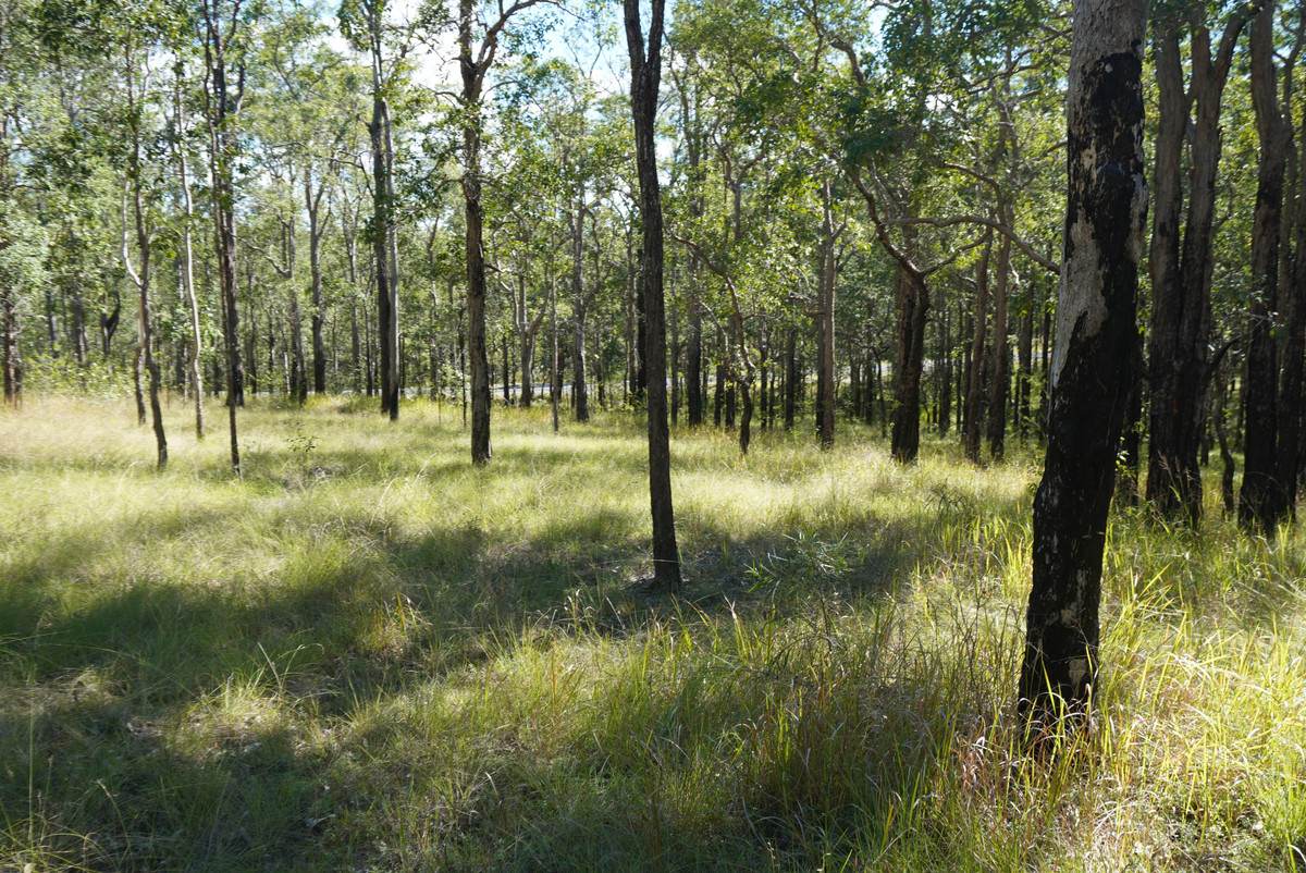 4 Kimbin Pikapene Road, Tabulam For Sale by Farmbuy.com - image 18