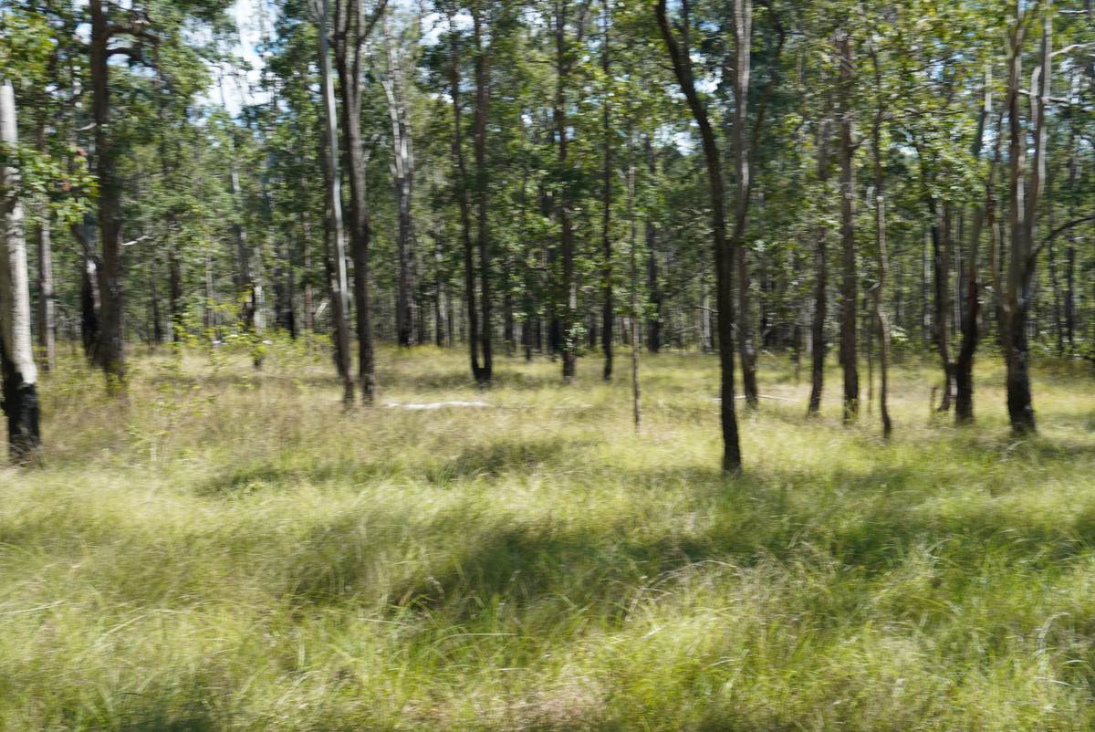 4 Kimbin Pikapene Road, Tabulam For Sale by Farmbuy.com - image 1