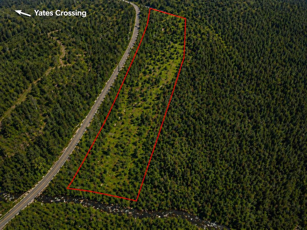 4 Kimbin Pikapene Road, Tabulam For Sale by Farmbuy.com - image 2