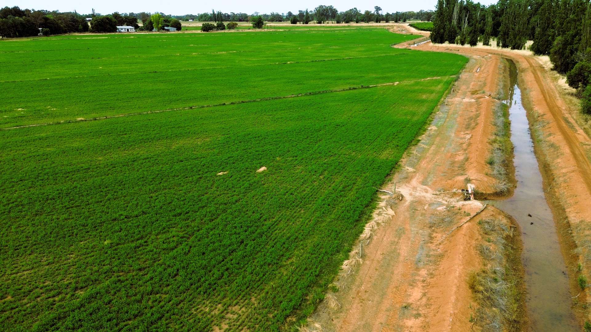 512 Cobram South Road, Cobram For Sale by Farmbuy.com - image 4