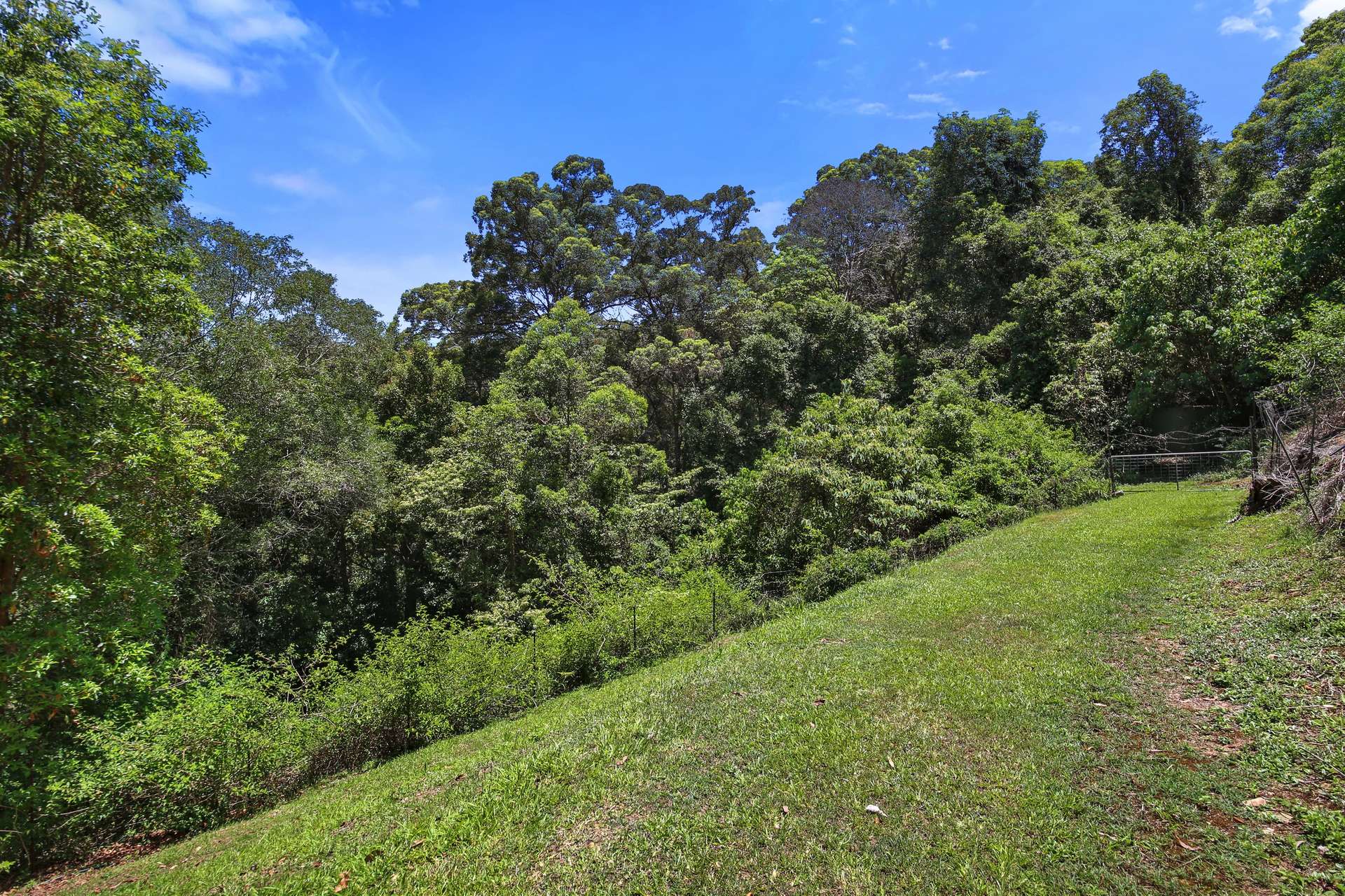 877 Cooroy Belli Creek Road, Ridgewood Sold by Farmbuy.com - image 22