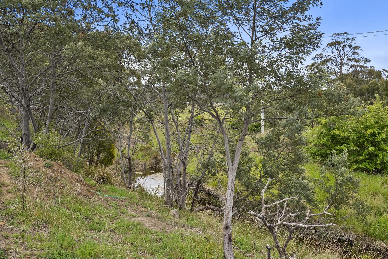 31 Tasman Highway, Triabunna For Sale by Farmbuy.com - image 11