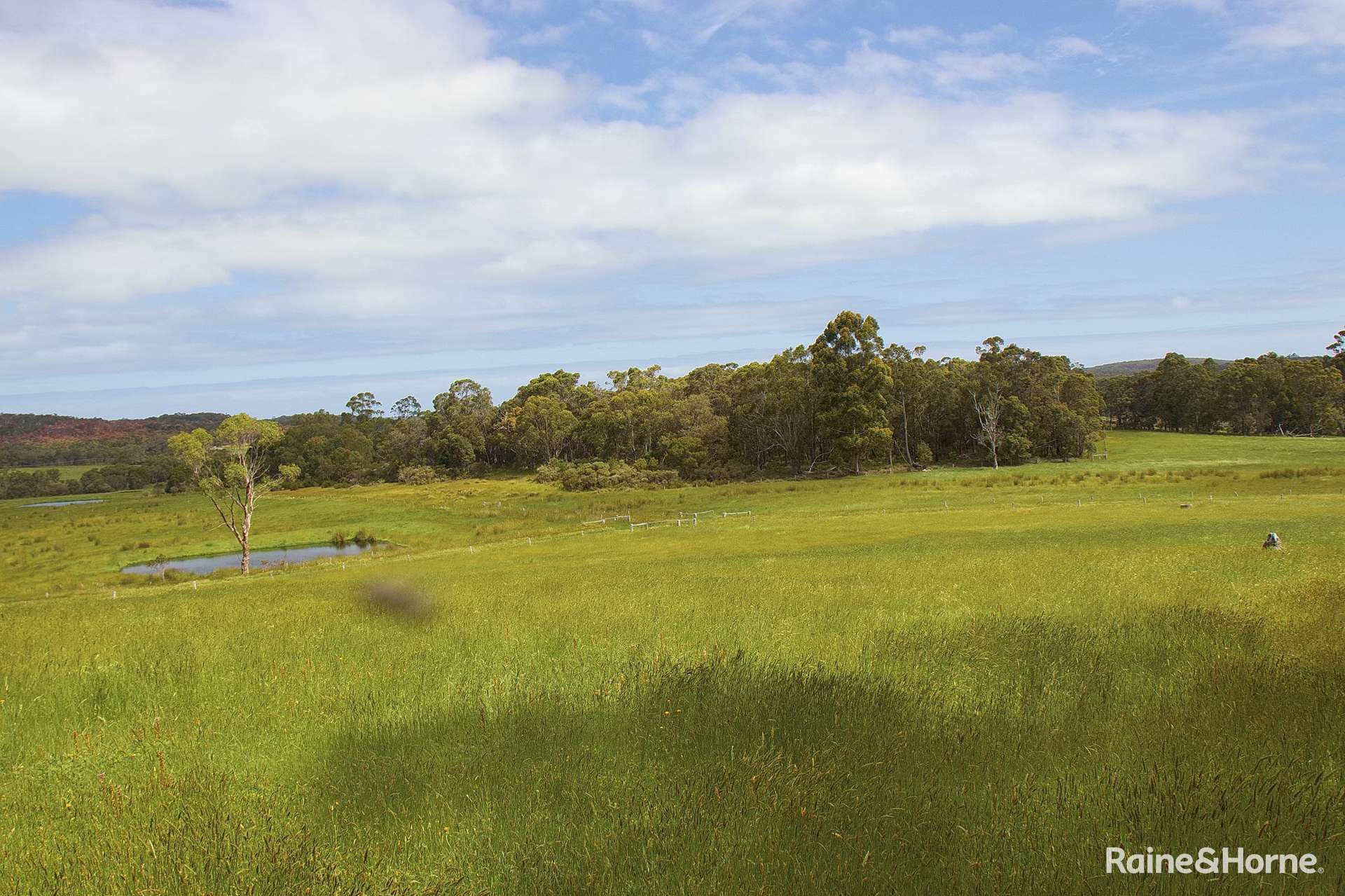 749 Kordabup Road, Kordabup For Sale by Farmbuy.com - image 8