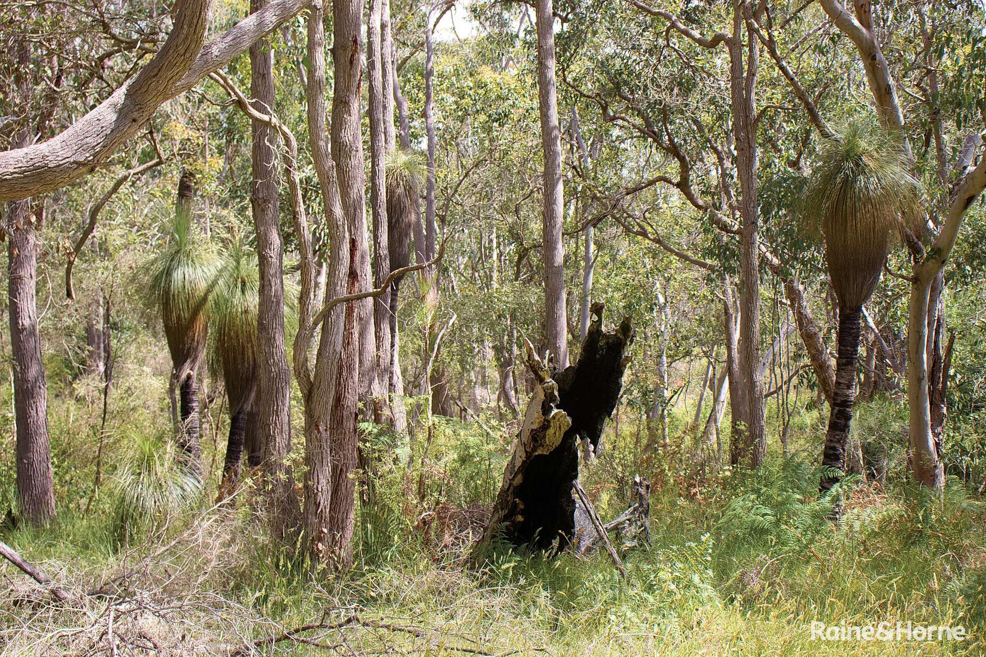 749 Kordabup Road, Kordabup For Sale by Farmbuy.com - image 4