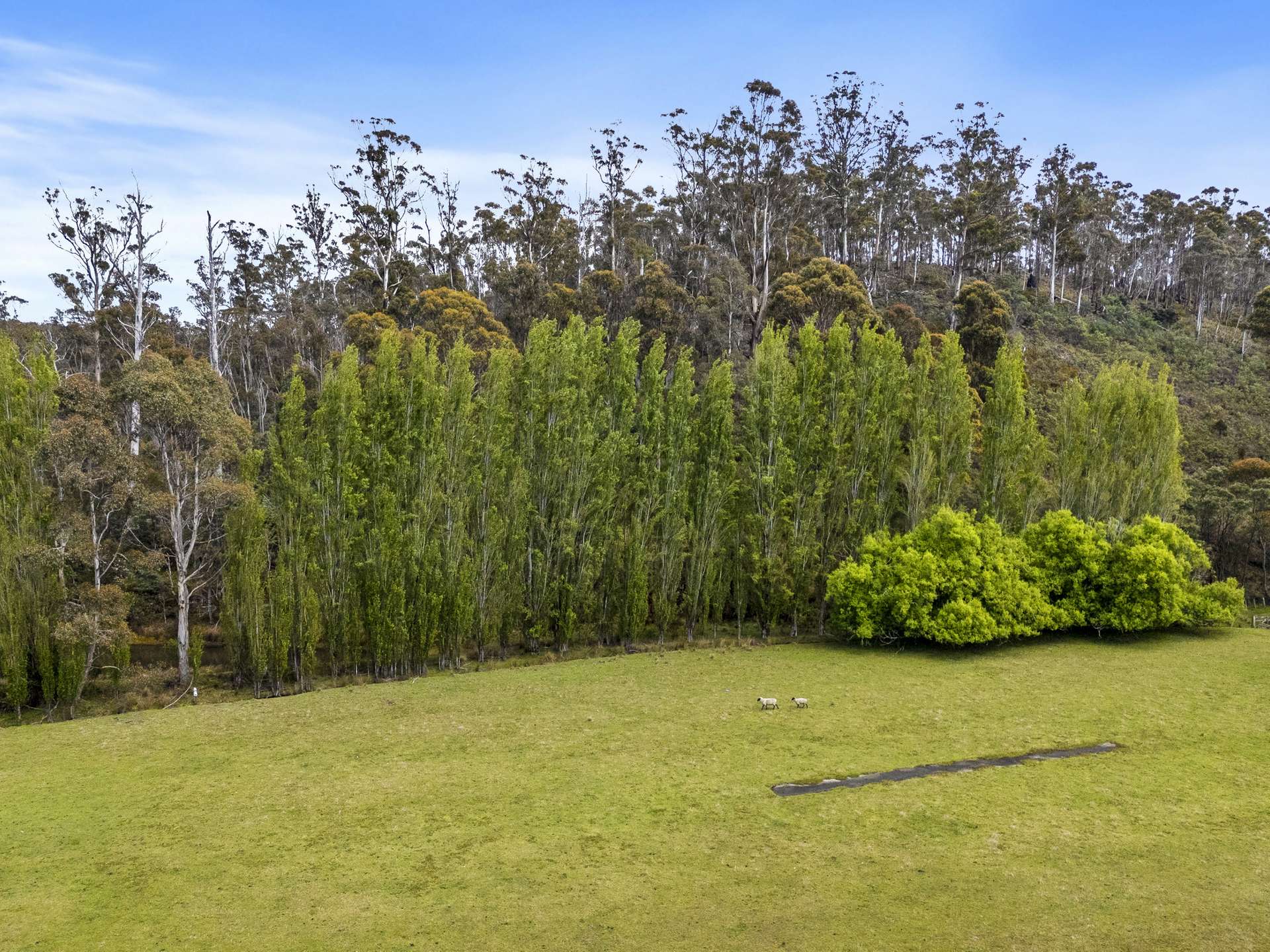 1315 Woodsdale Road, Levendale Sold by Farmbuy.com - image 30