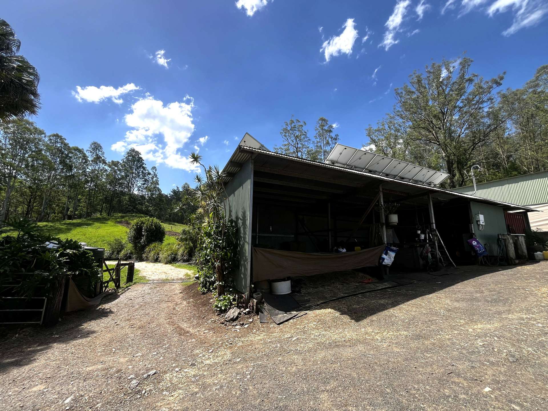 1254 Afterlee Road, Kyogle For Sale by Farmbuy.com - image 11
