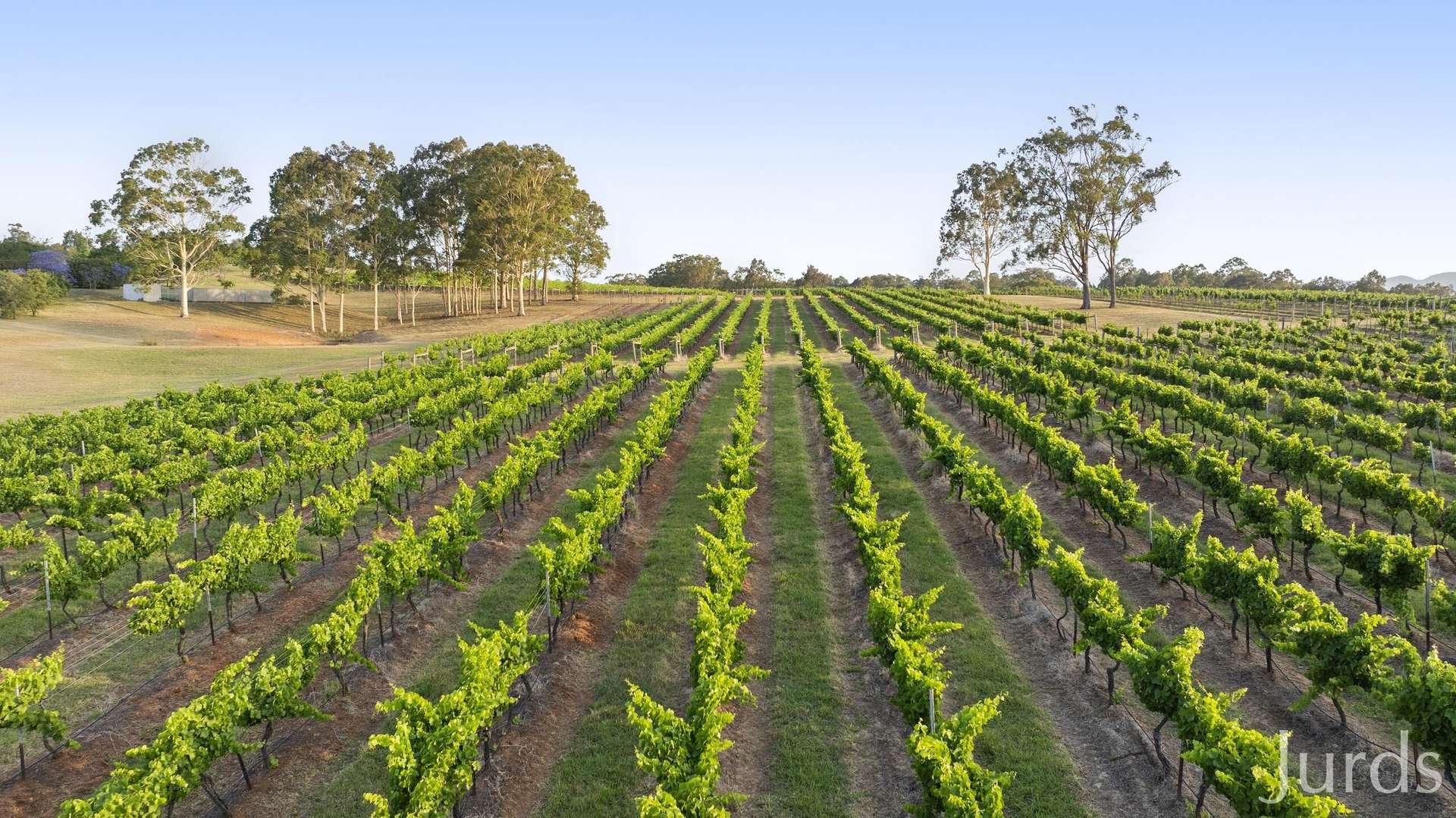 110 Old North Road, Pokolbin For Sale by Farmbuy.com - image 35