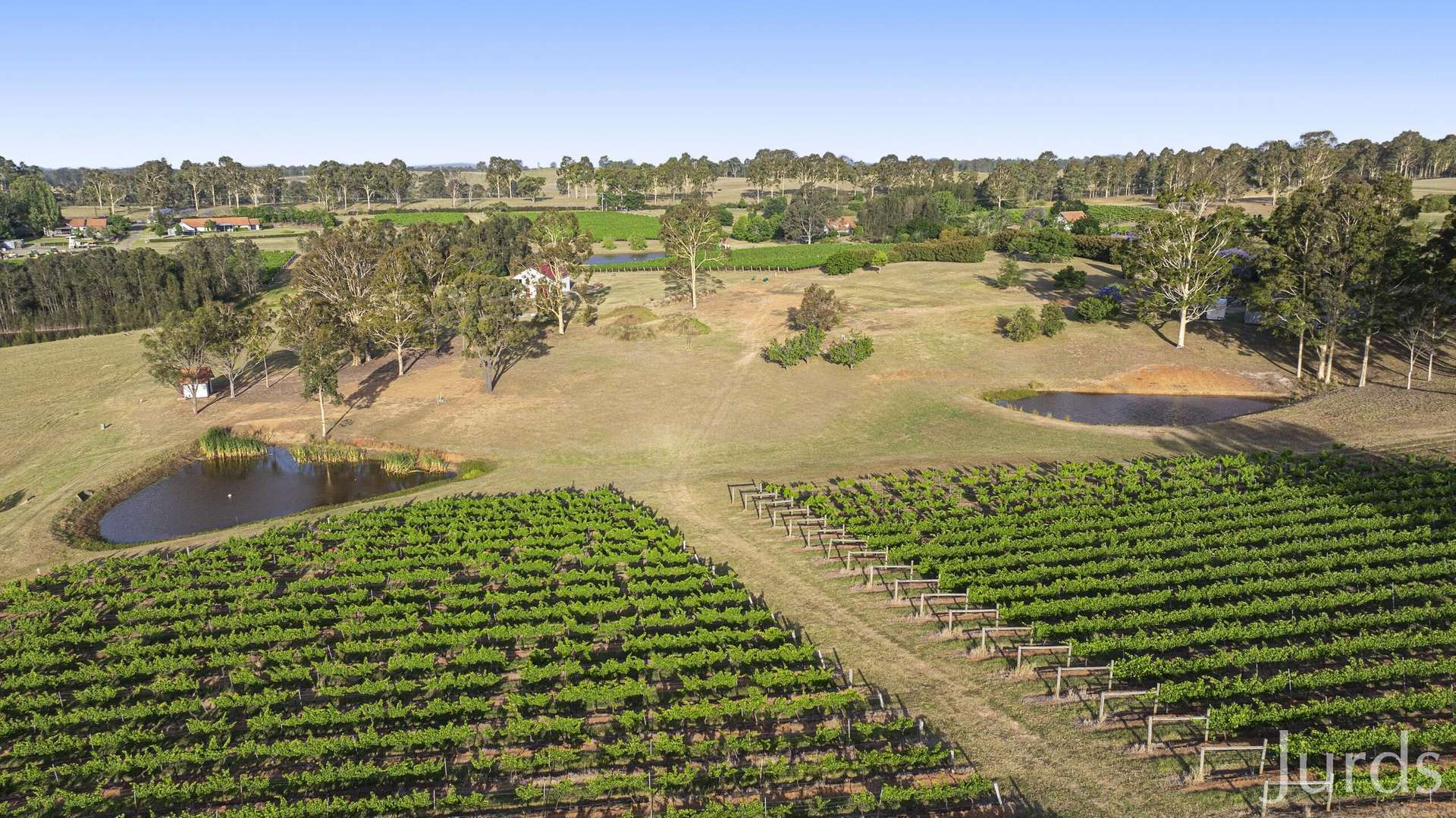 110 Old North Road, Pokolbin For Sale by Farmbuy.com - image 11