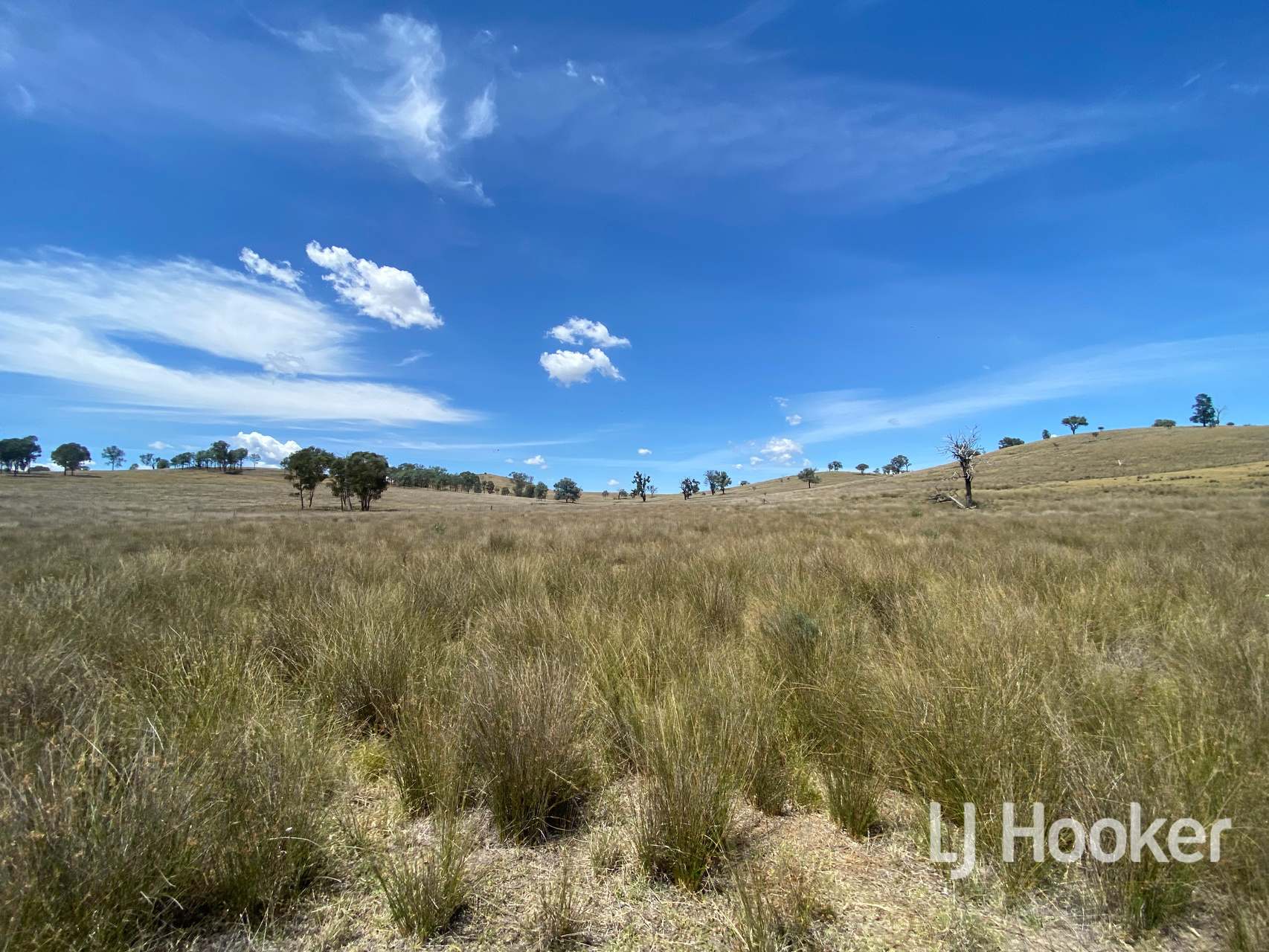 1198 Bukkulla Road, Inverell For Sale by Farmbuy.com - image 19