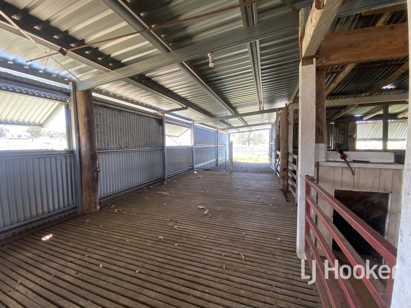 1198 Bukkulla Road, Inverell For Sale by Farmbuy.com - image 8