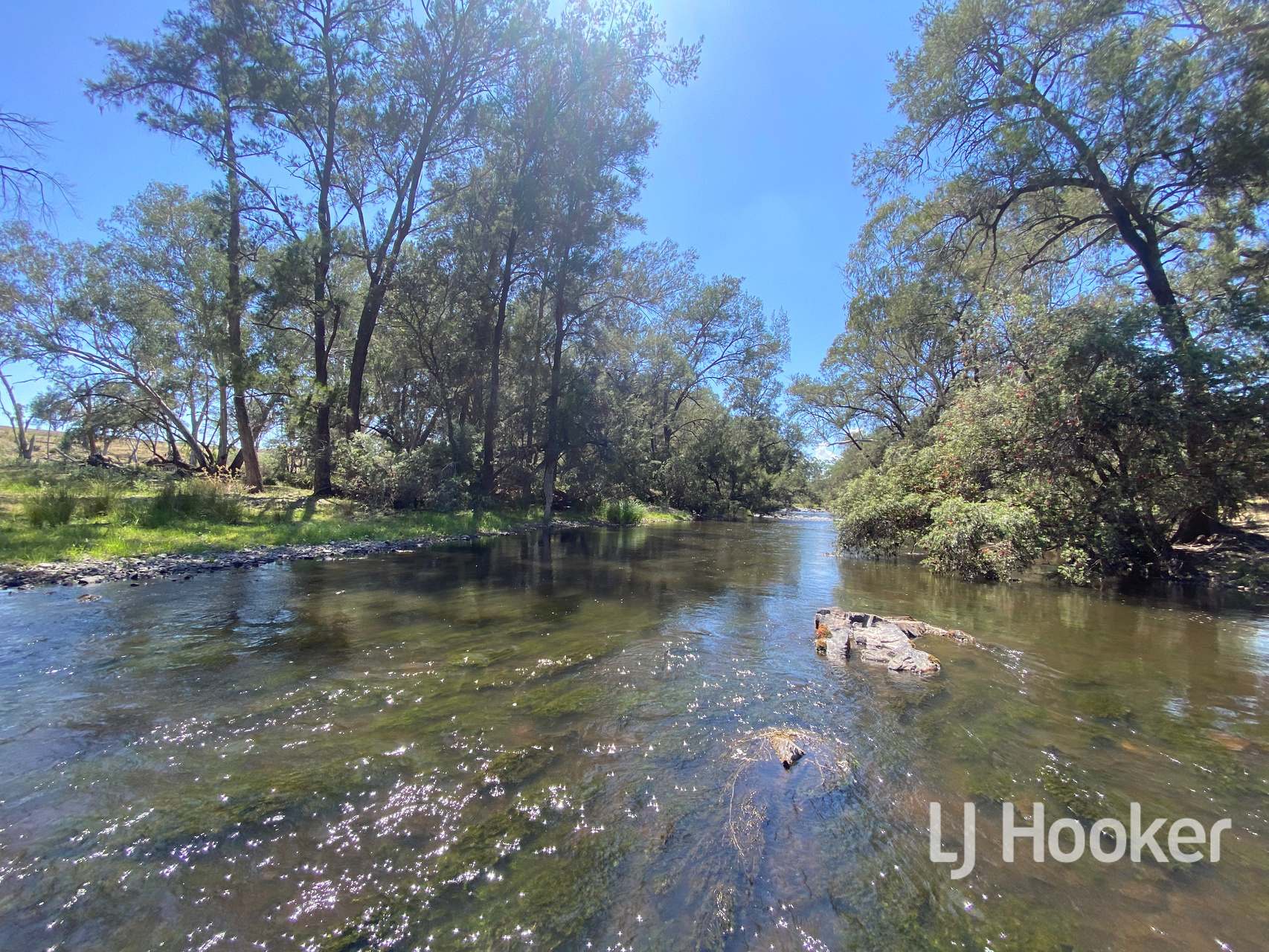 1198 Bukkulla Road, Inverell For Sale by Farmbuy.com - image 11