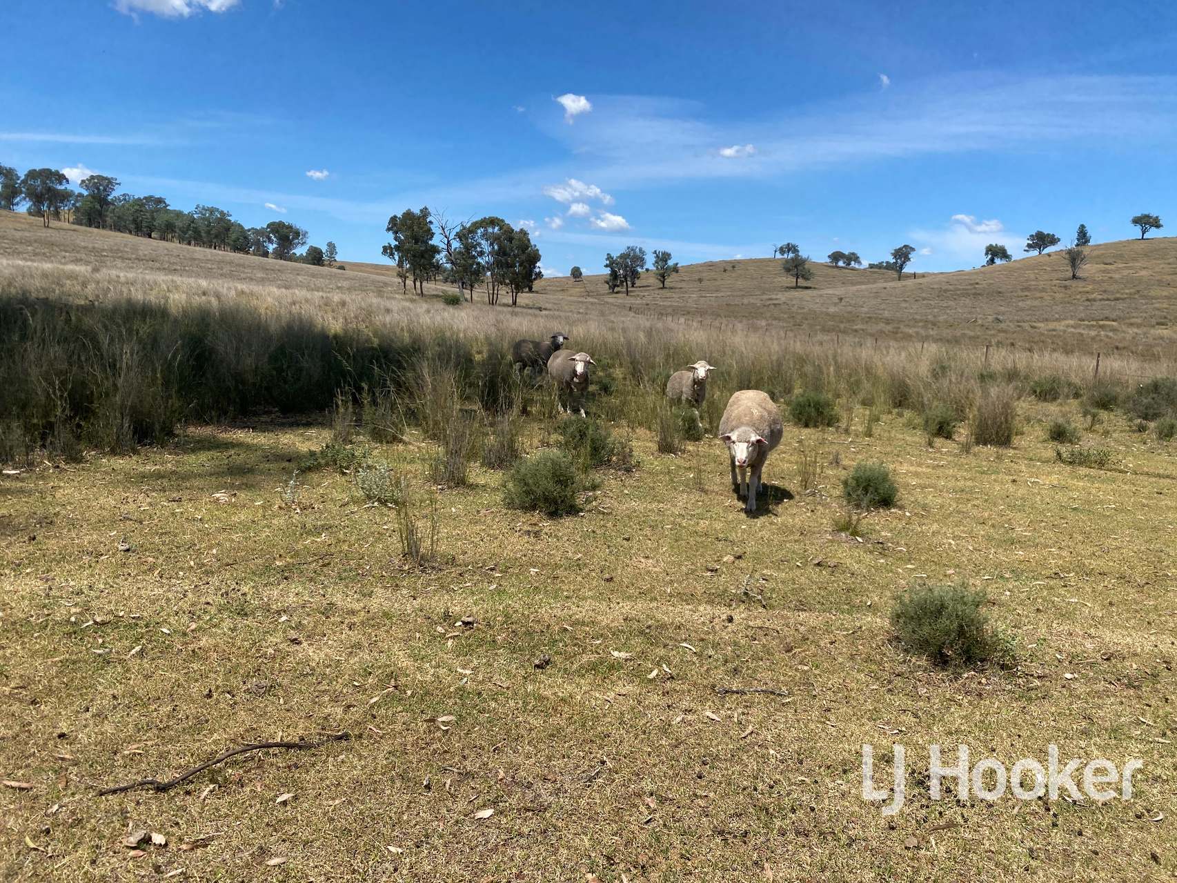 1198 Bukkulla Road, Inverell For Sale by Farmbuy.com - image 21