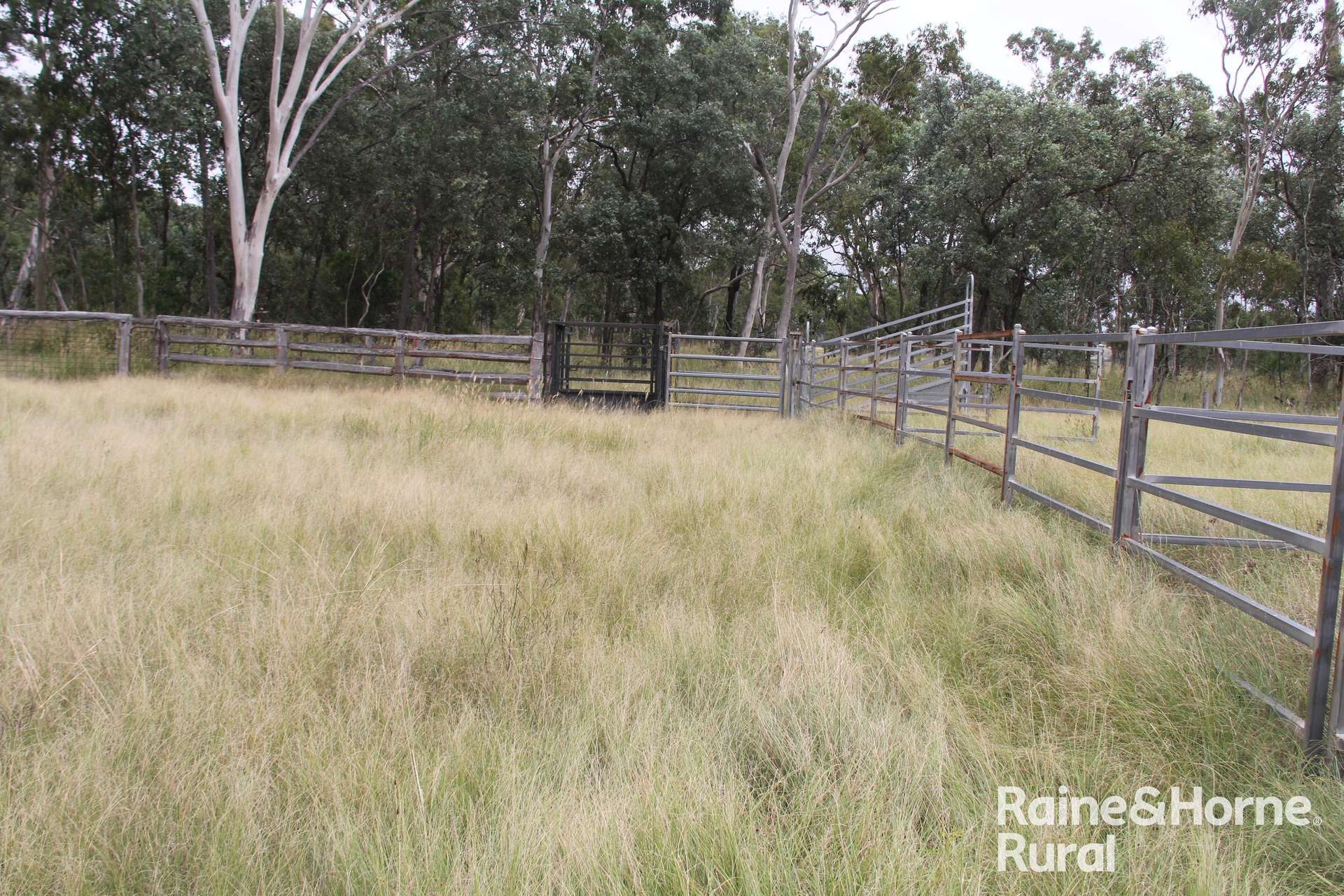 Lot 164 Flagstone Creek Road, Haly Creek Sold by Farmbuy.com - image 8