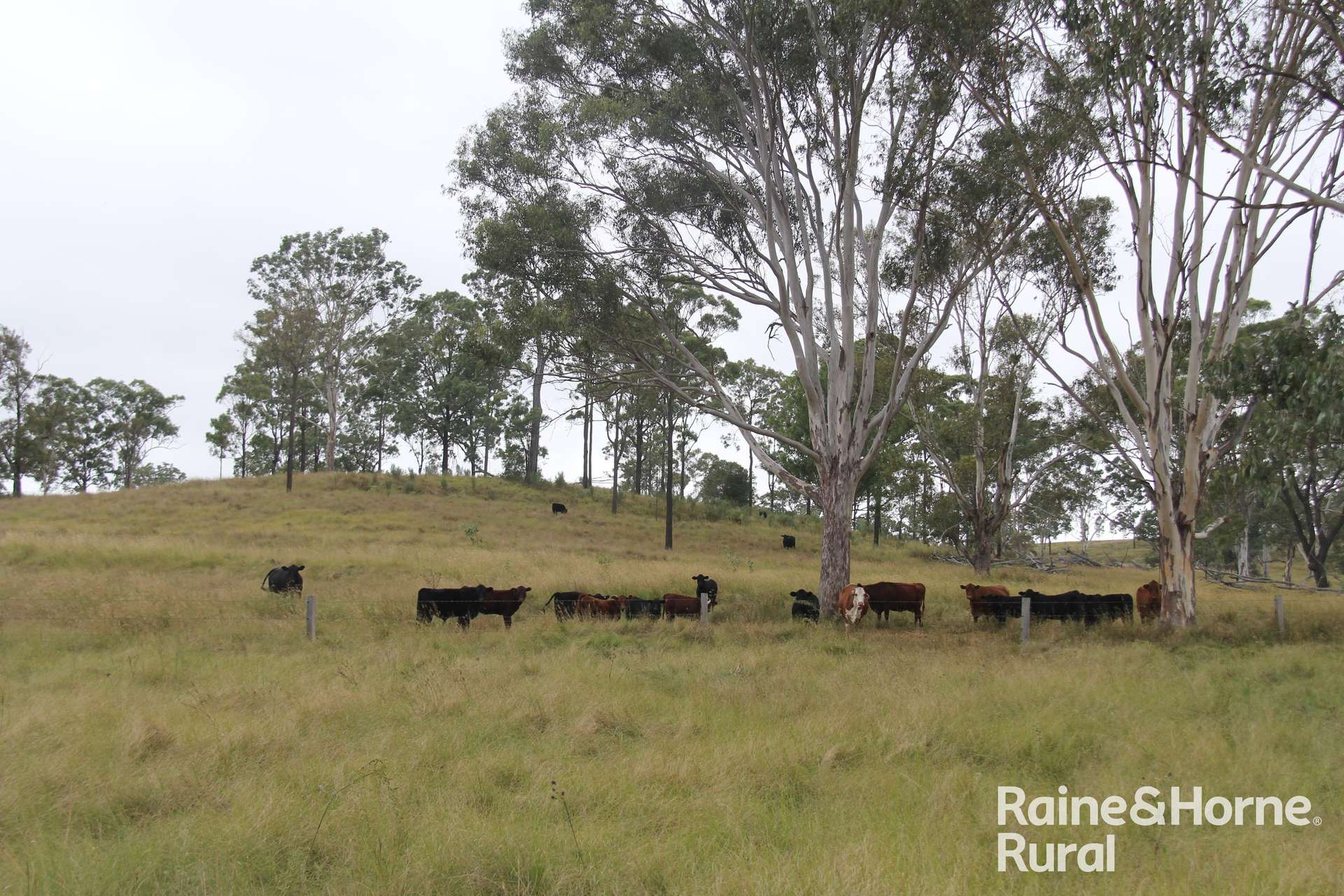 Lot 164 Flagstone Creek Road, Haly Creek Sold by Farmbuy.com - image 6