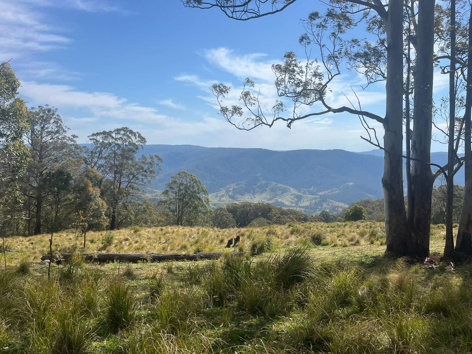 638 Tops Road, Nowendoc For Sale by Farmbuy.com - image 4