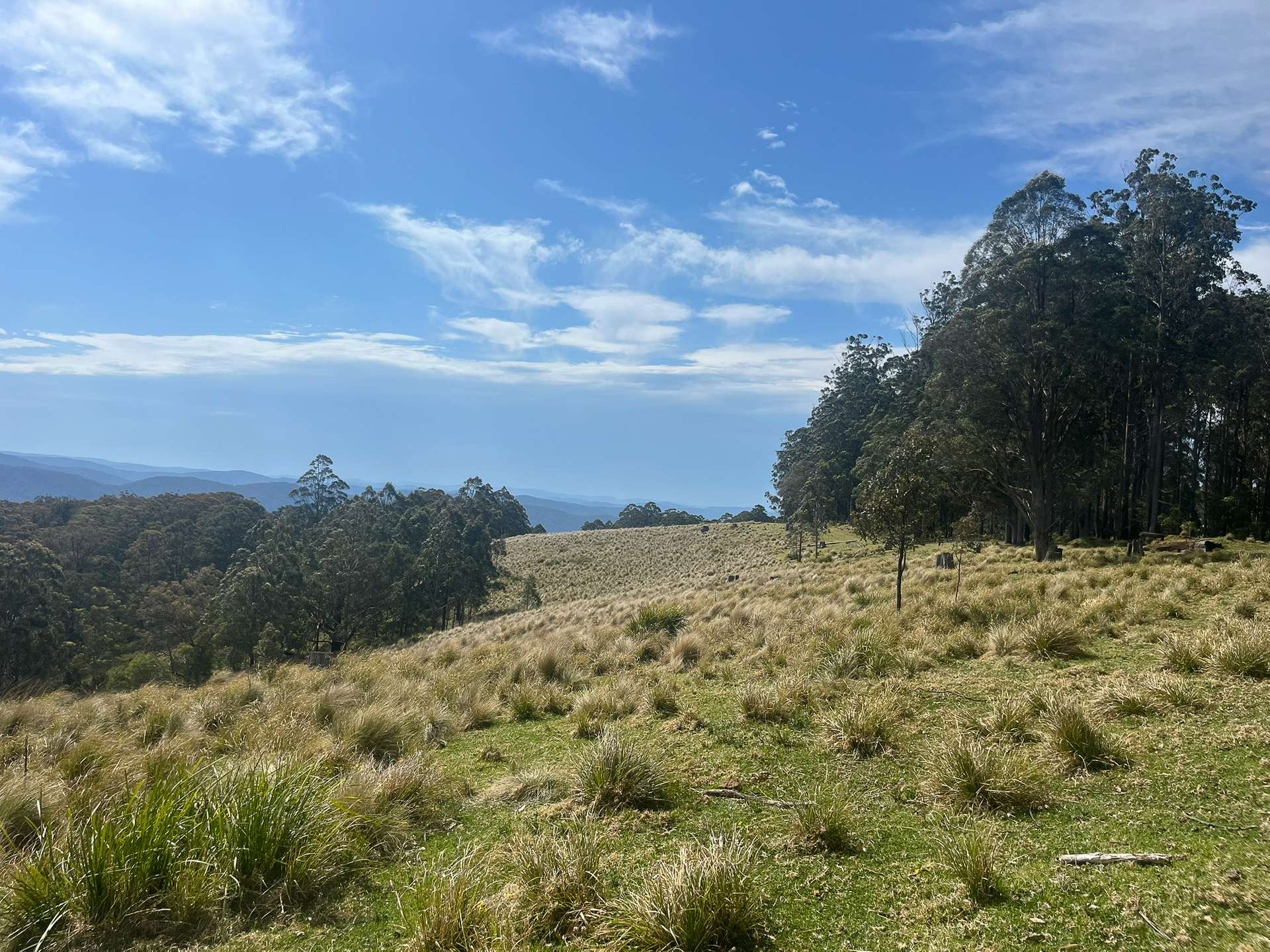 638 Tops Road, Nowendoc For Sale by Farmbuy.com - image 2