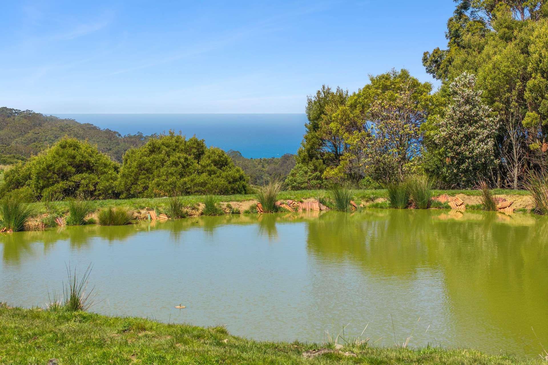 415 Tuxion Road, Apollo Bay Sold by Farmbuy.com - image 6