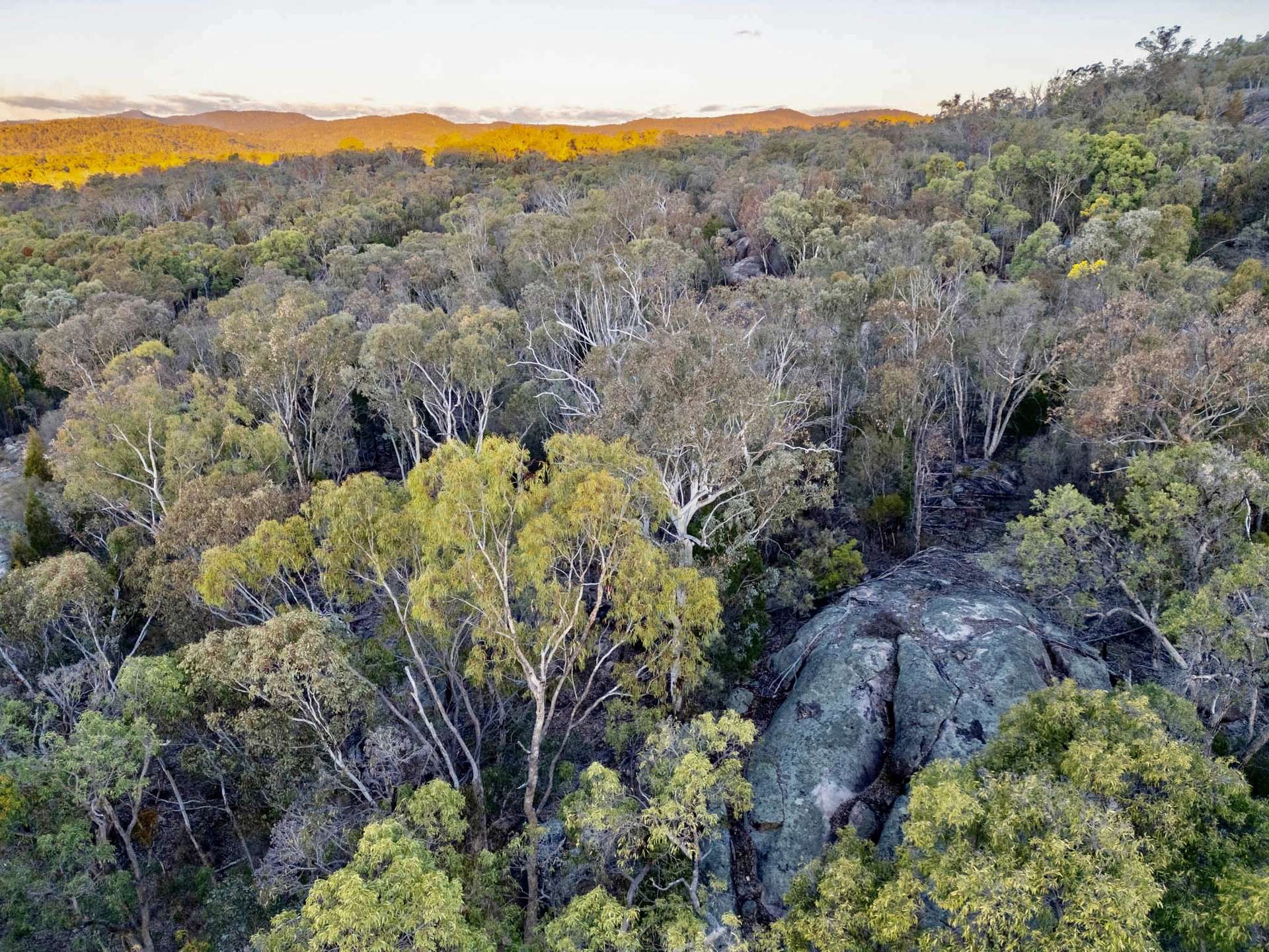 89 Fletcher Road, Ballandean For Sale by Farmbuy.com - image 29