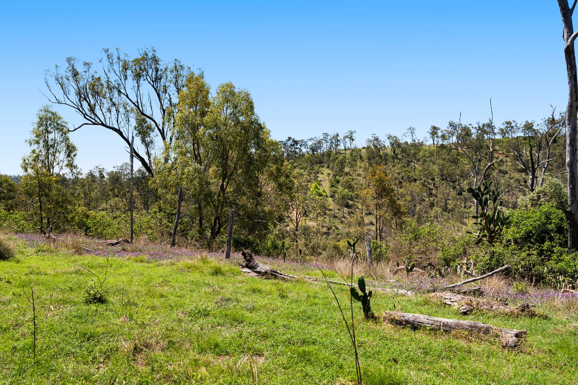 225 Wild Deer Drive, Blackbutt Sold by Farmbuy.com - image 13