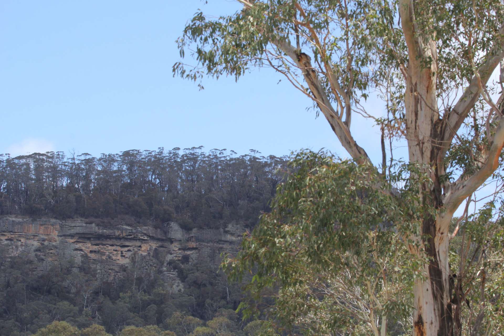 Lot 51 Glen Chee Road, Kanimbla For Sale by Farmbuy.com - image 22