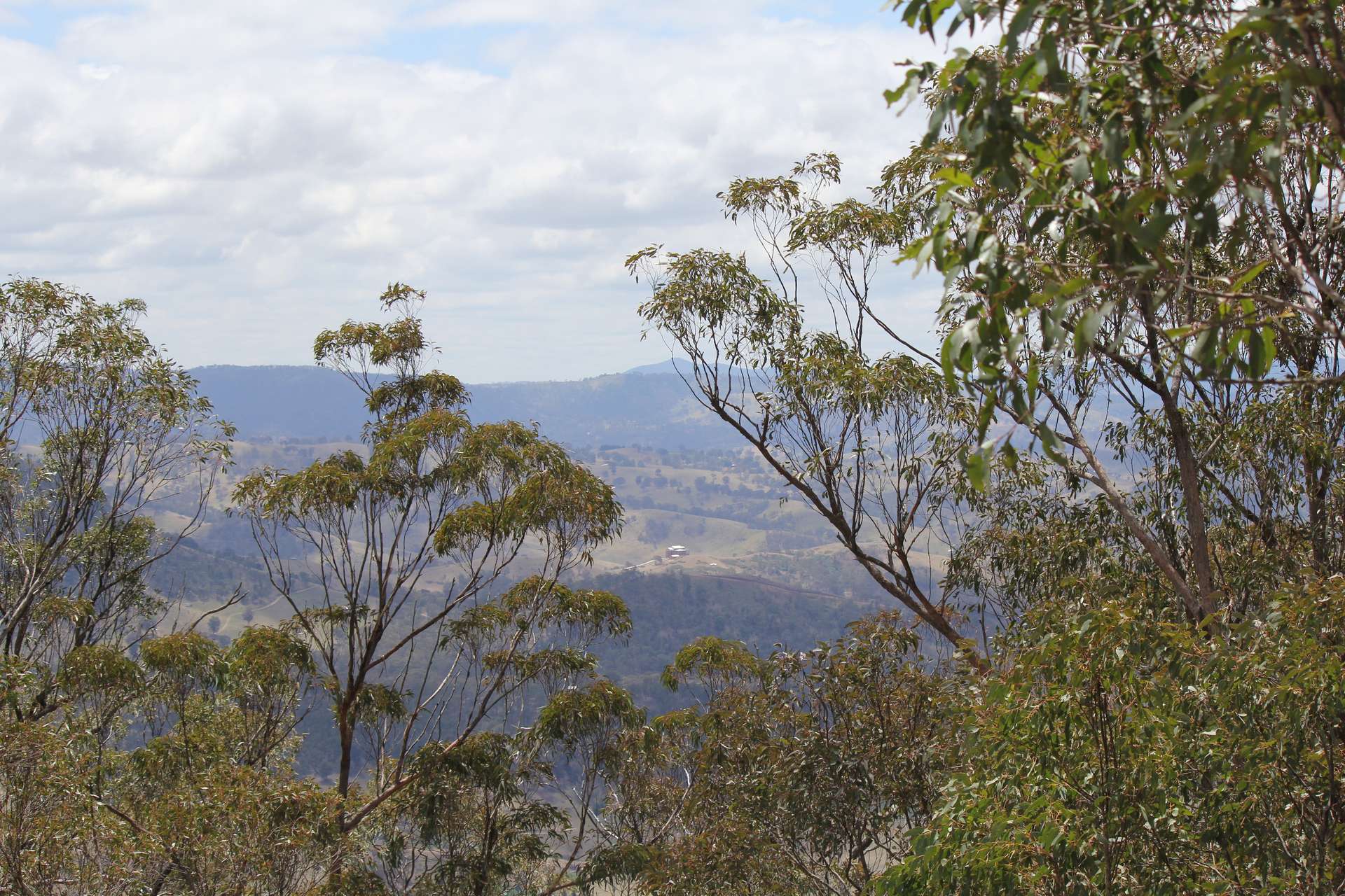 Lot 51 Glen Chee Road, Kanimbla For Sale by Farmbuy.com - image 10
