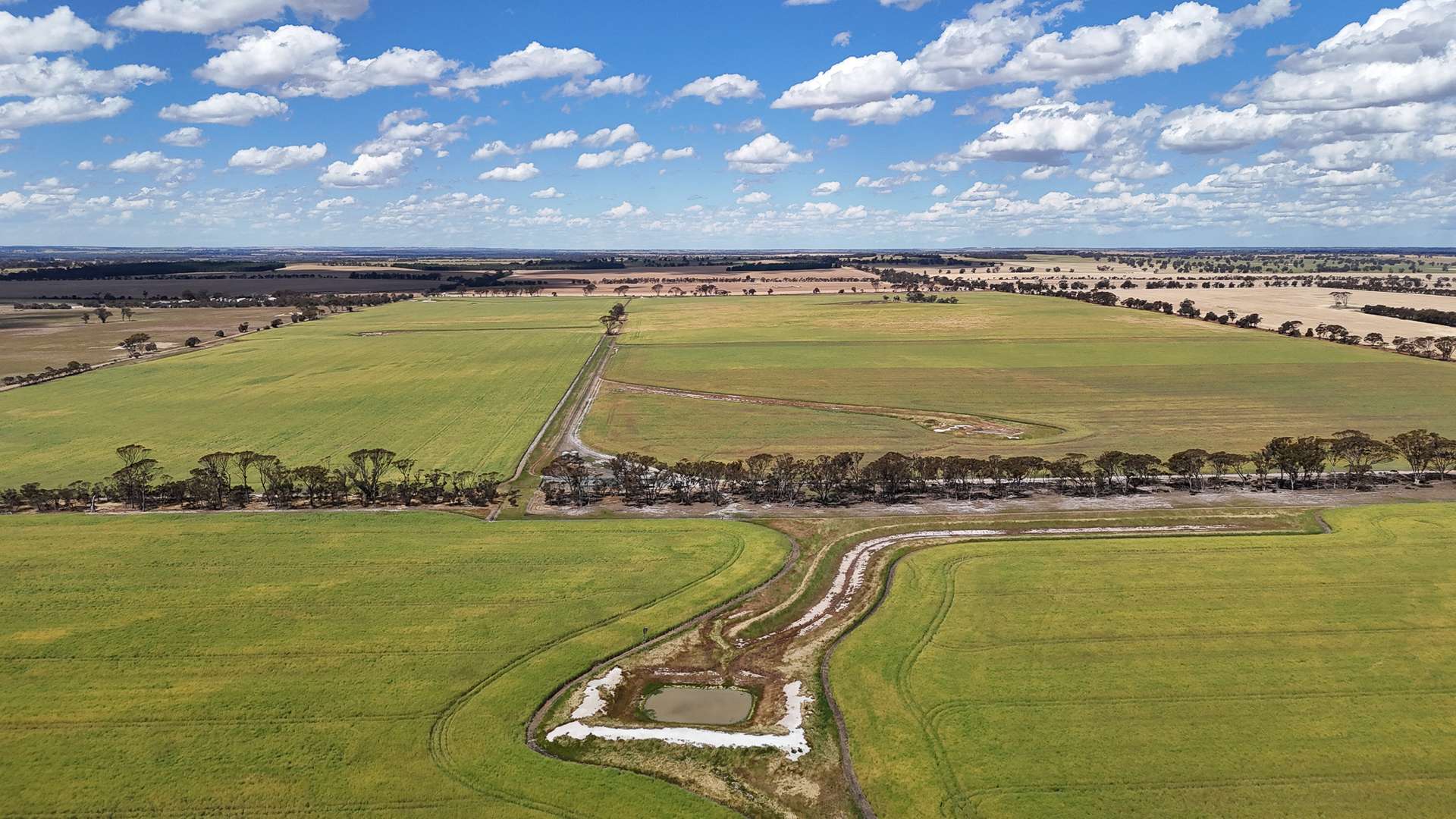 Kolonga Downs 175 McAuliffe Road, Katanning For Sale by Farmbuy.com - image 2