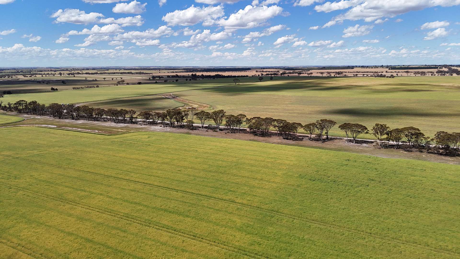 Kolonga Downs 175 McAuliffe Road, Katanning For Sale by Farmbuy.com - image 5