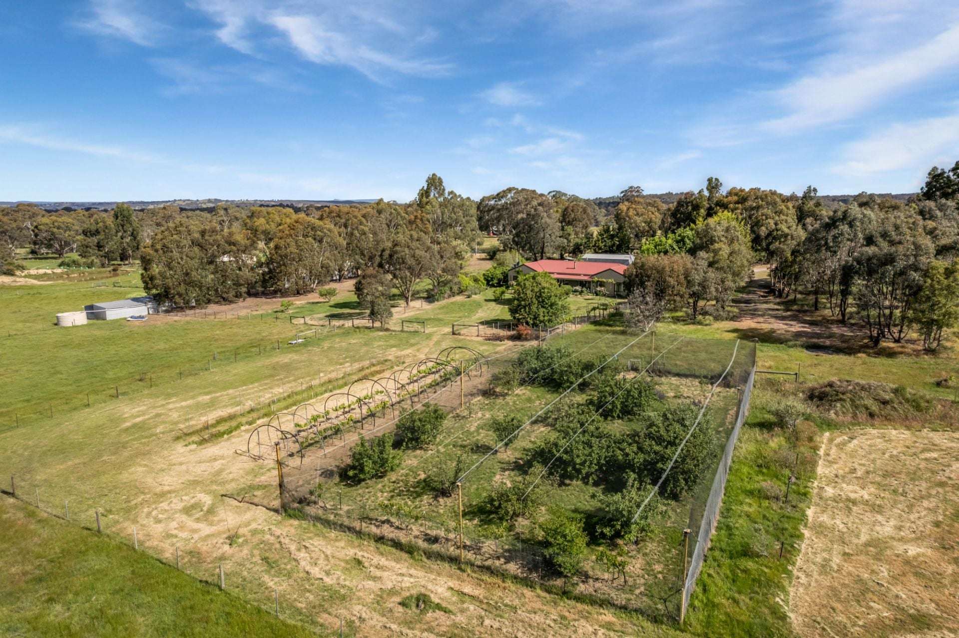71 Thornhill Lane, Elphinstone For Sale by Farmbuy.com - image 14