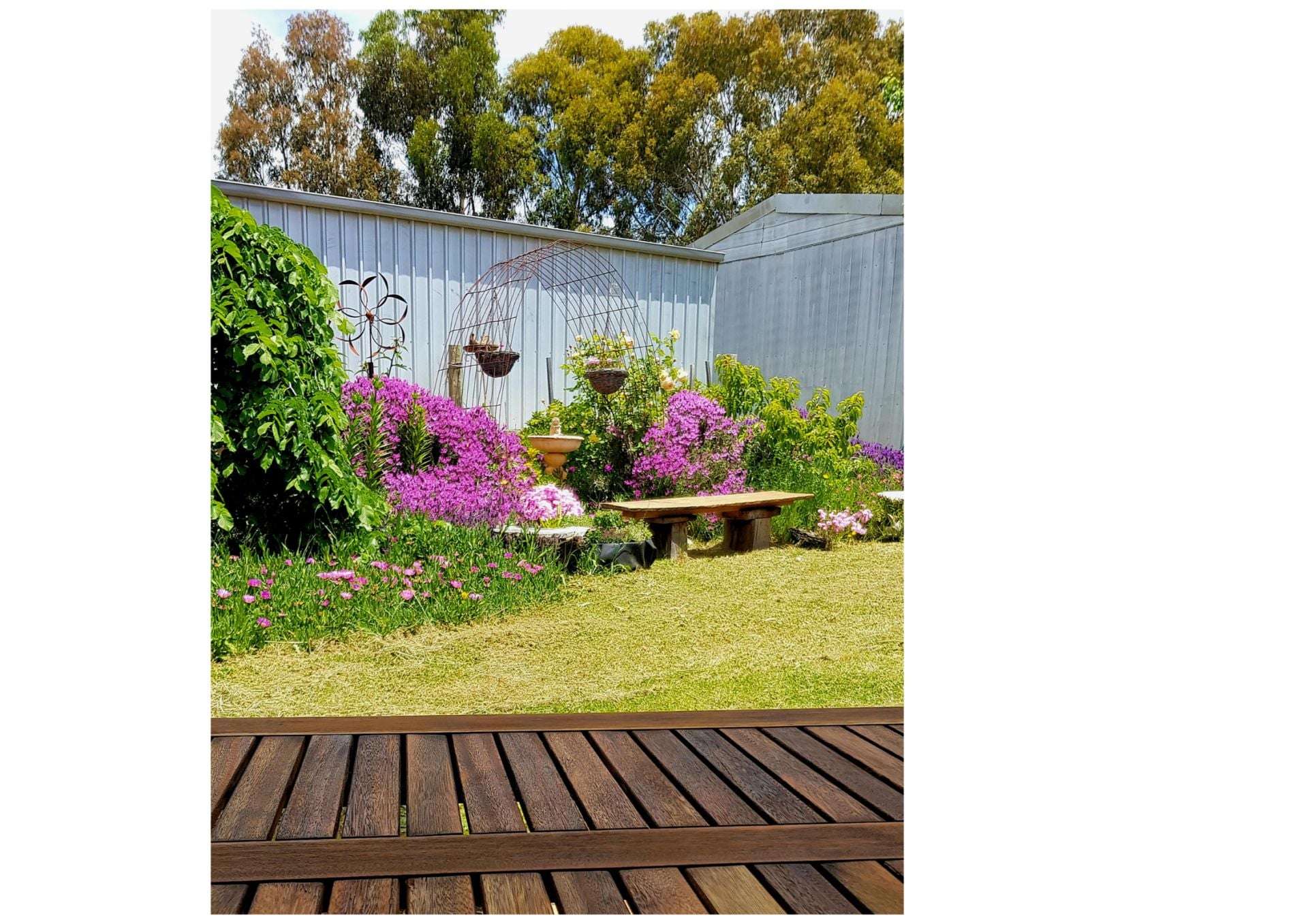71 Thornhill Lane, Elphinstone For Sale by Farmbuy.com - image 13