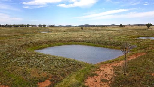 Farm Sold - NSW - Tullamore - 2874 - A mixed farming haven - cropping & livestock 