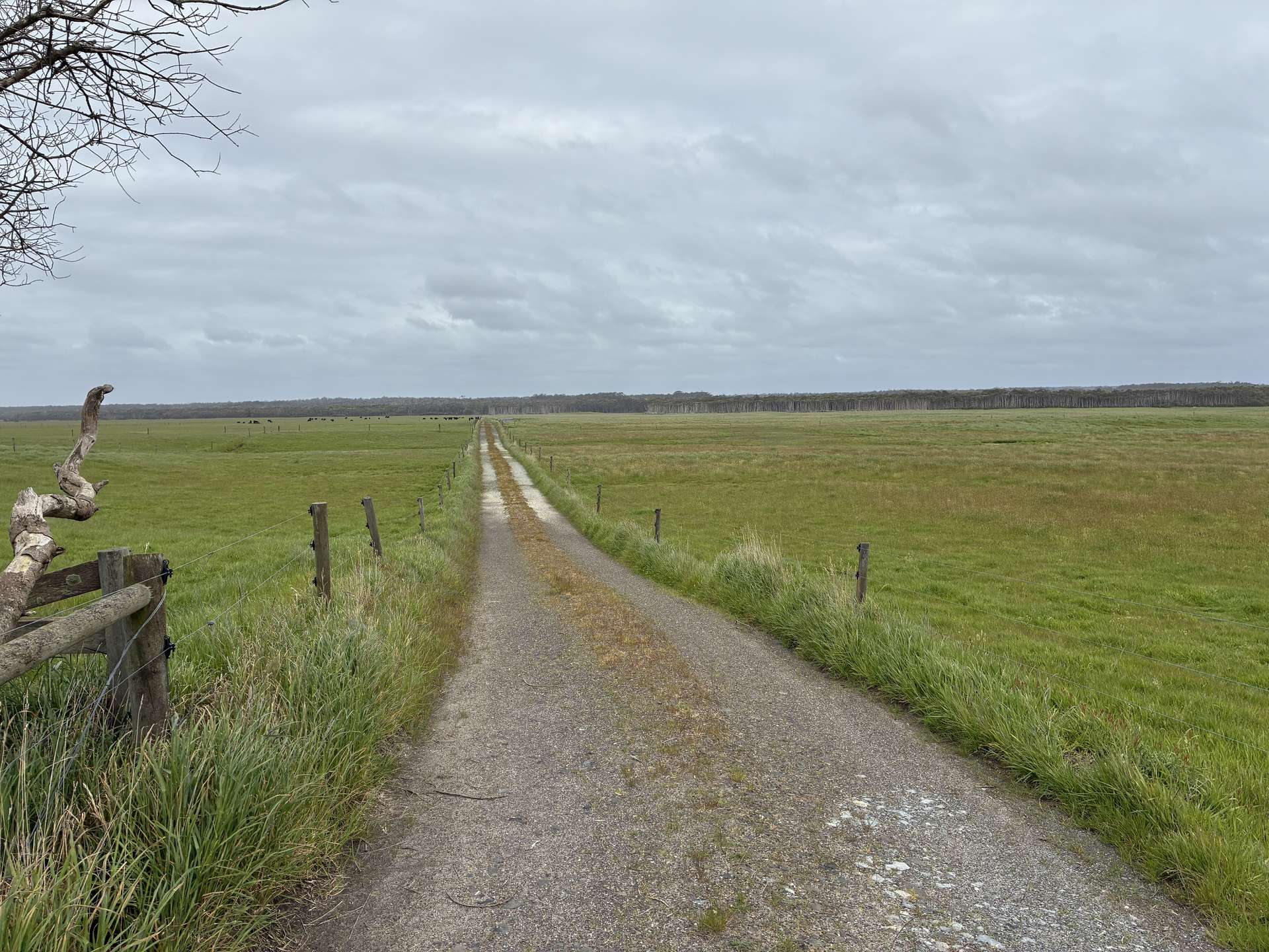 . Harcus River Road, Marrawah For Sale by Farmbuy.com - image 2
