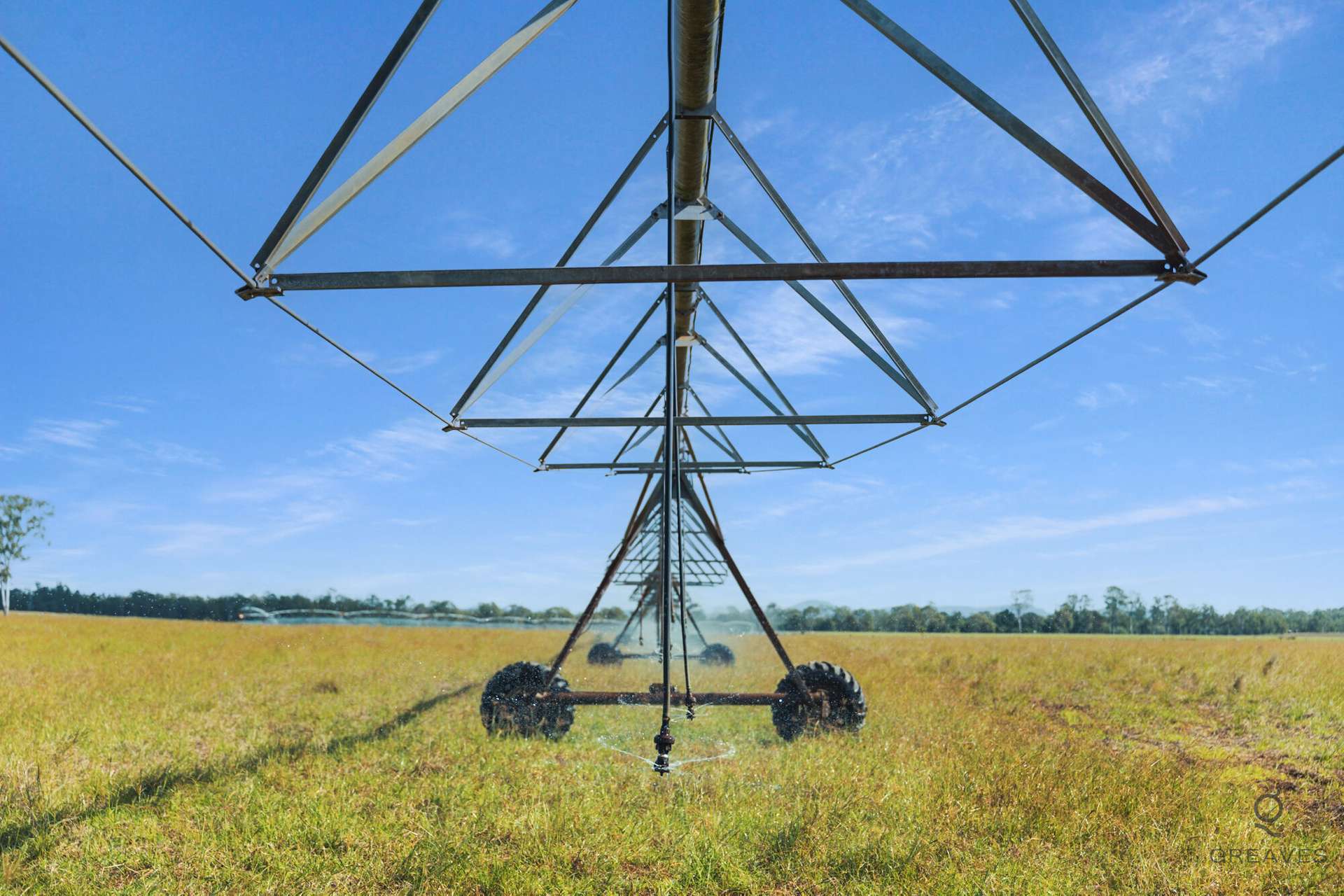 Bucca For Sale by Farmbuy.com - image 19