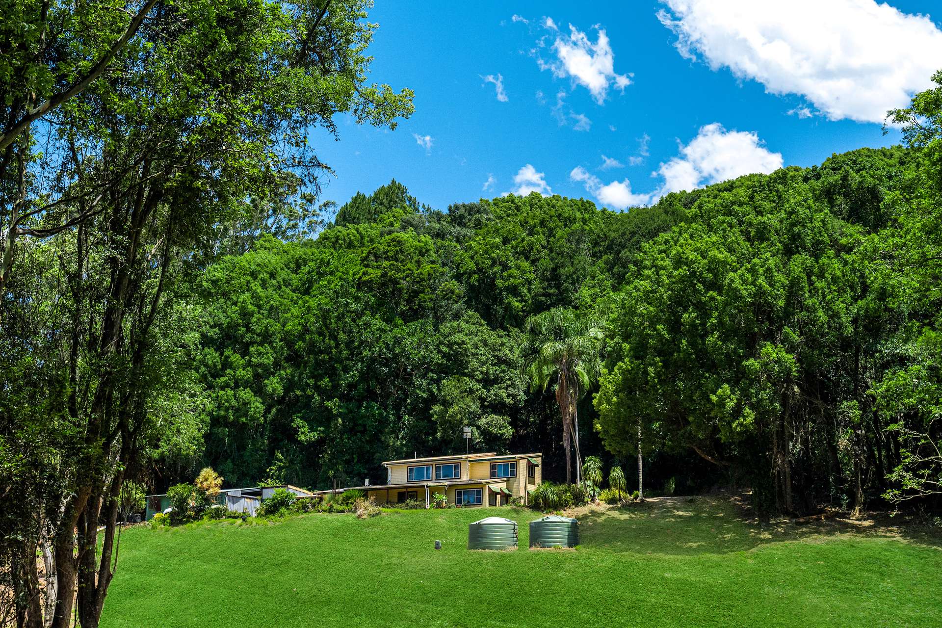 137 Waltons Road, Federal Sold by Farmbuy.com - image 9